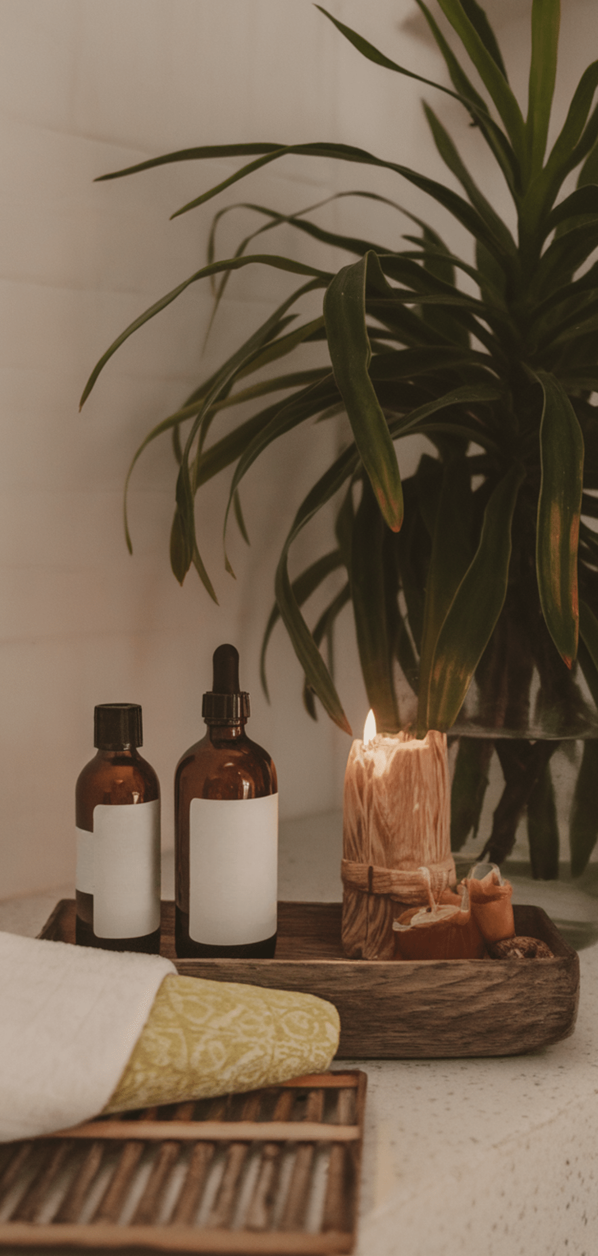 Easy Earthy Bathroom Ideas for a Spa-Like Experience