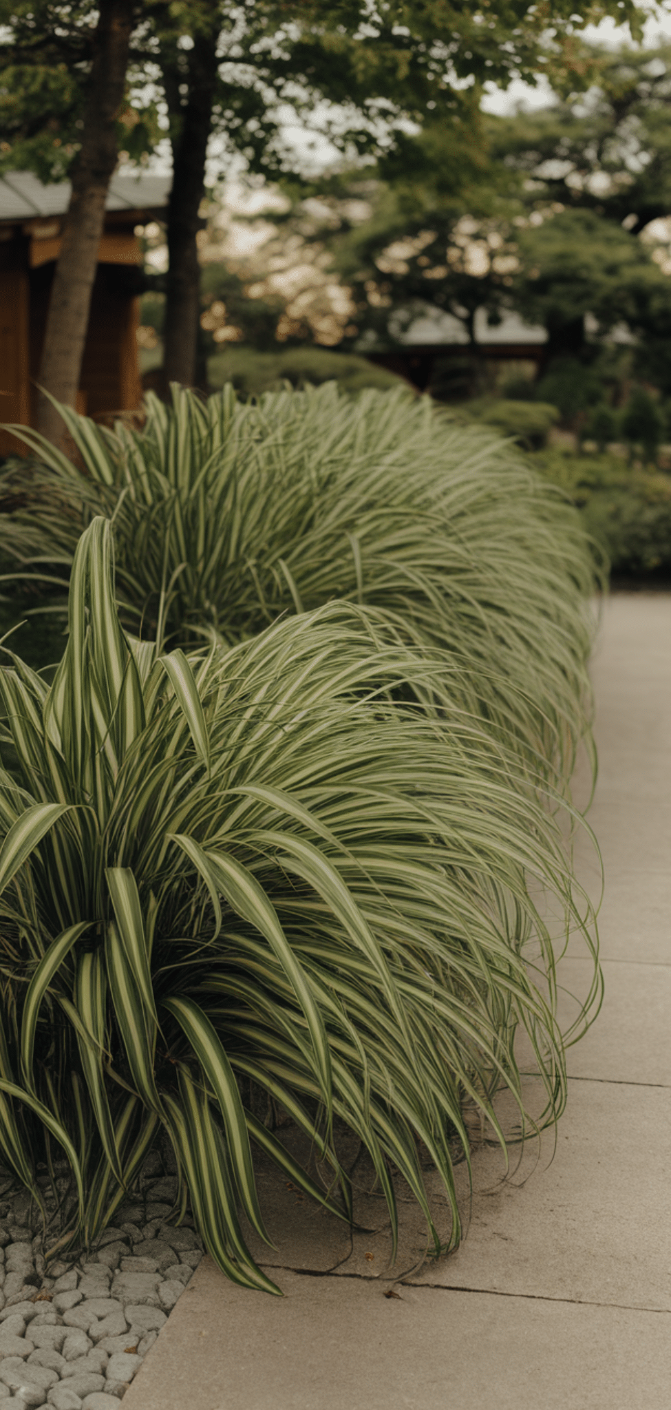 14 Beautiful Shade Plants That Deer Avoid - The Mega Mom