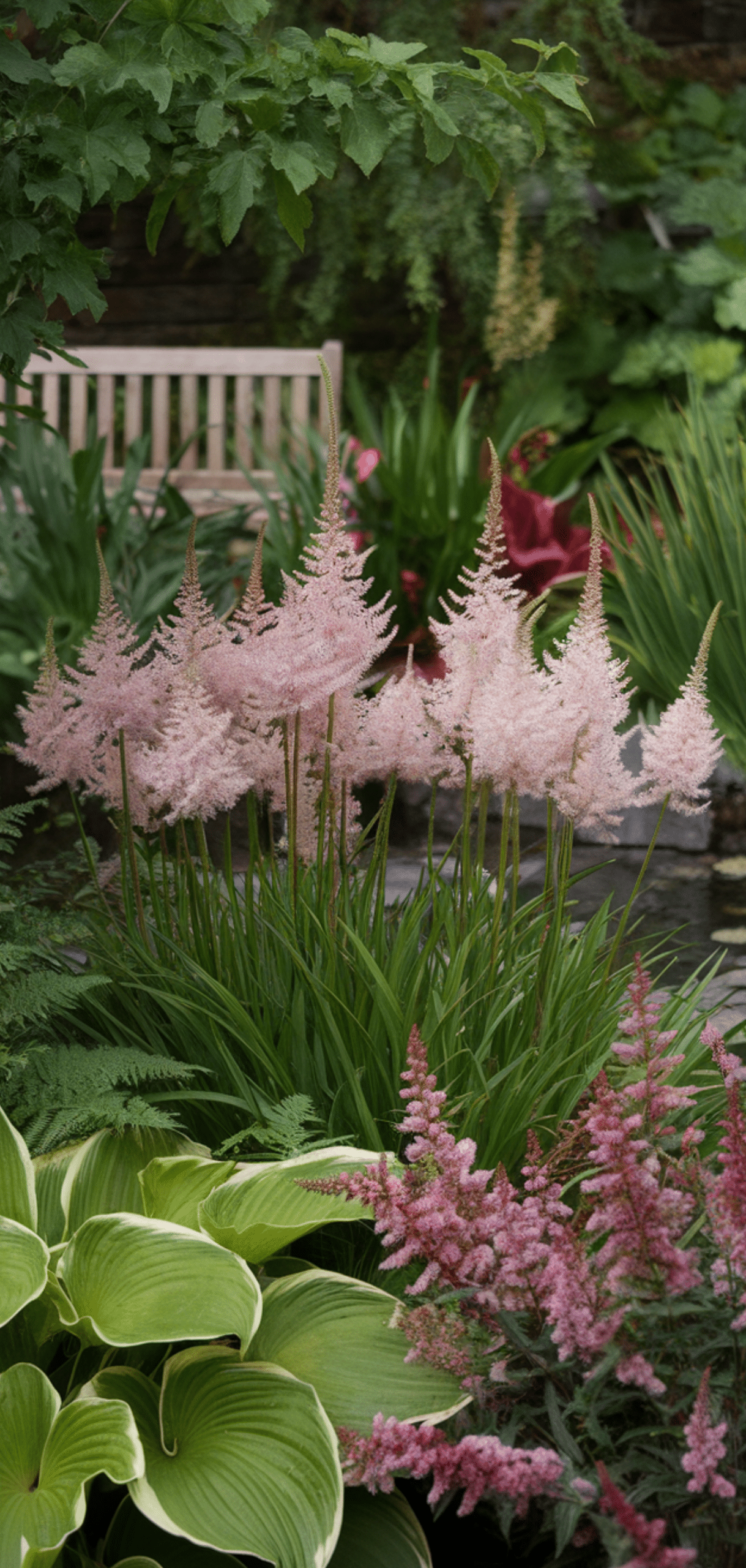 Perfect Shade Perennials for a Lush