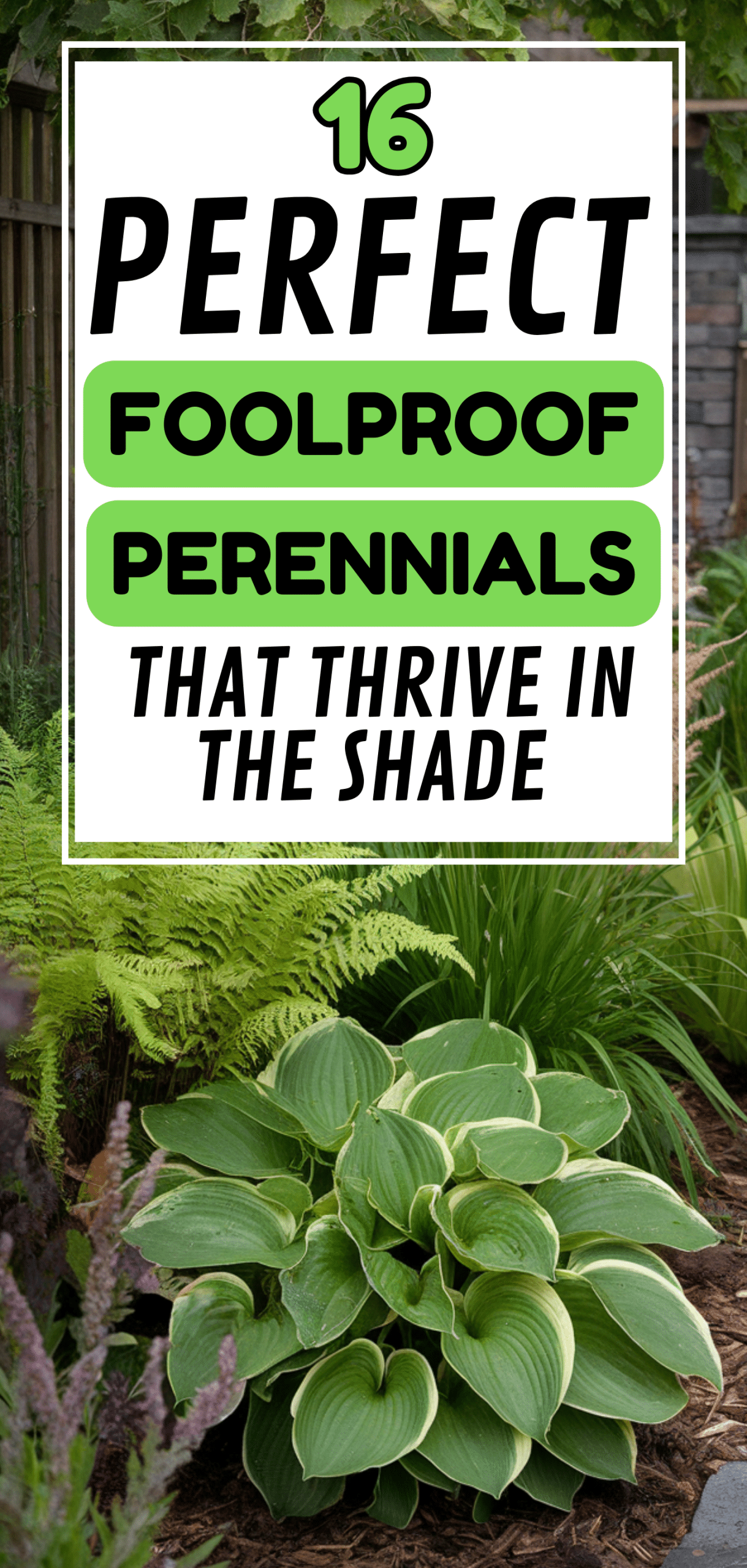 Perfect Foolproof Perennials That Thrive in the Shade