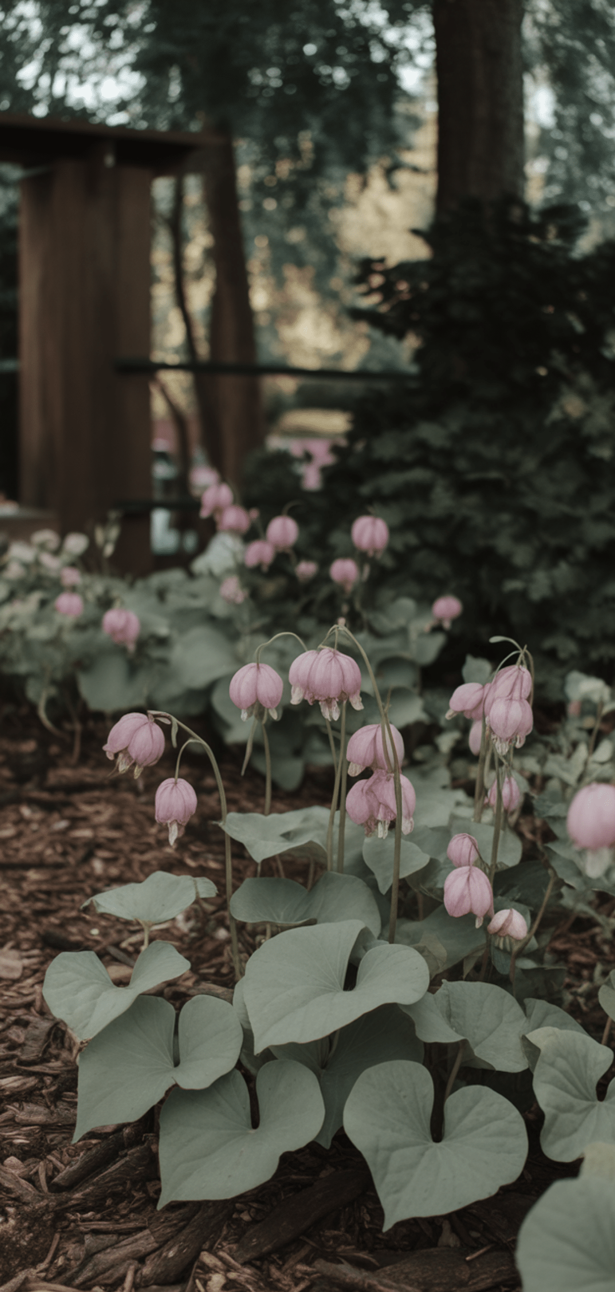 Perfect Foolproof Perennials That Thrive in the Shade