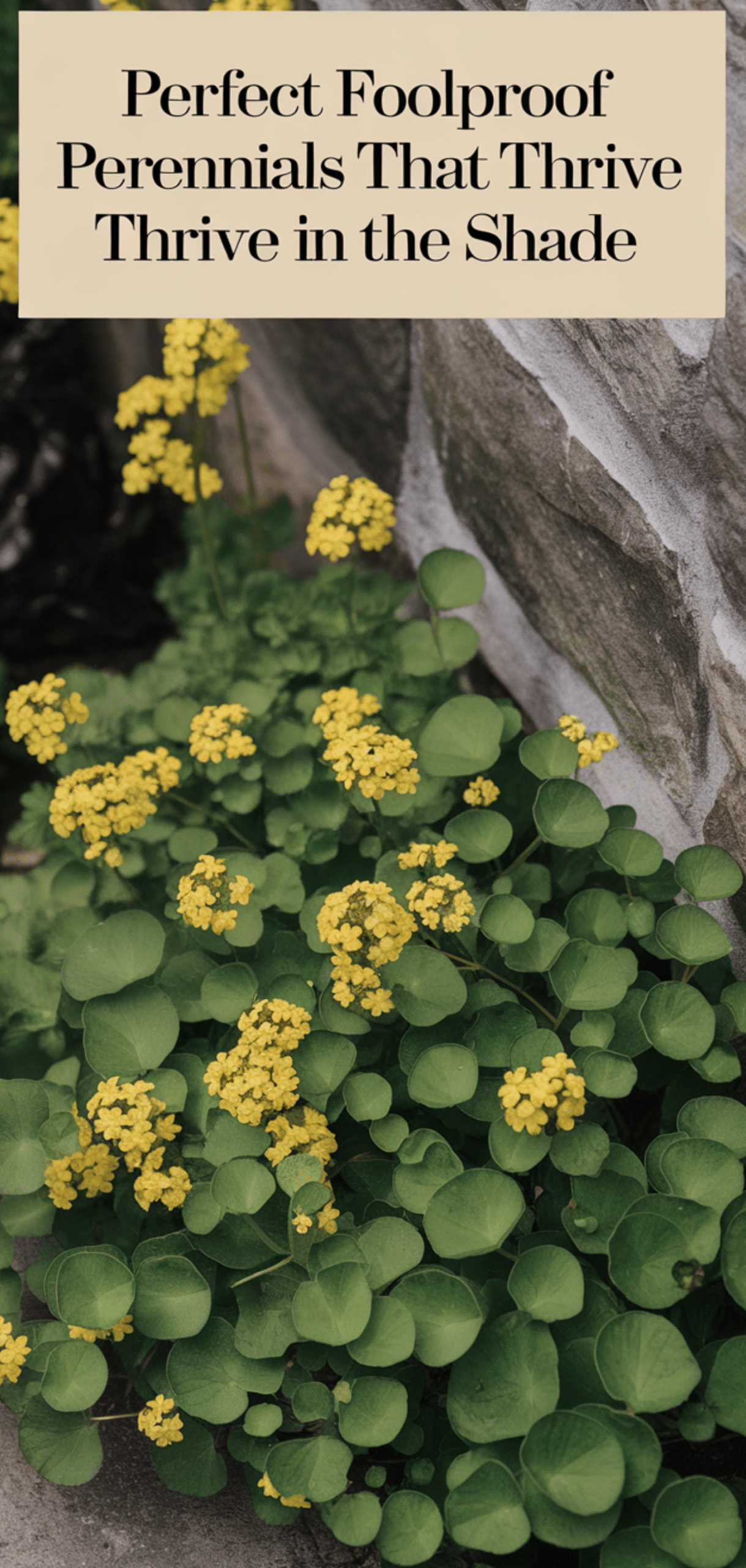Perfect Foolproof Perennials That Thrive in the Shade