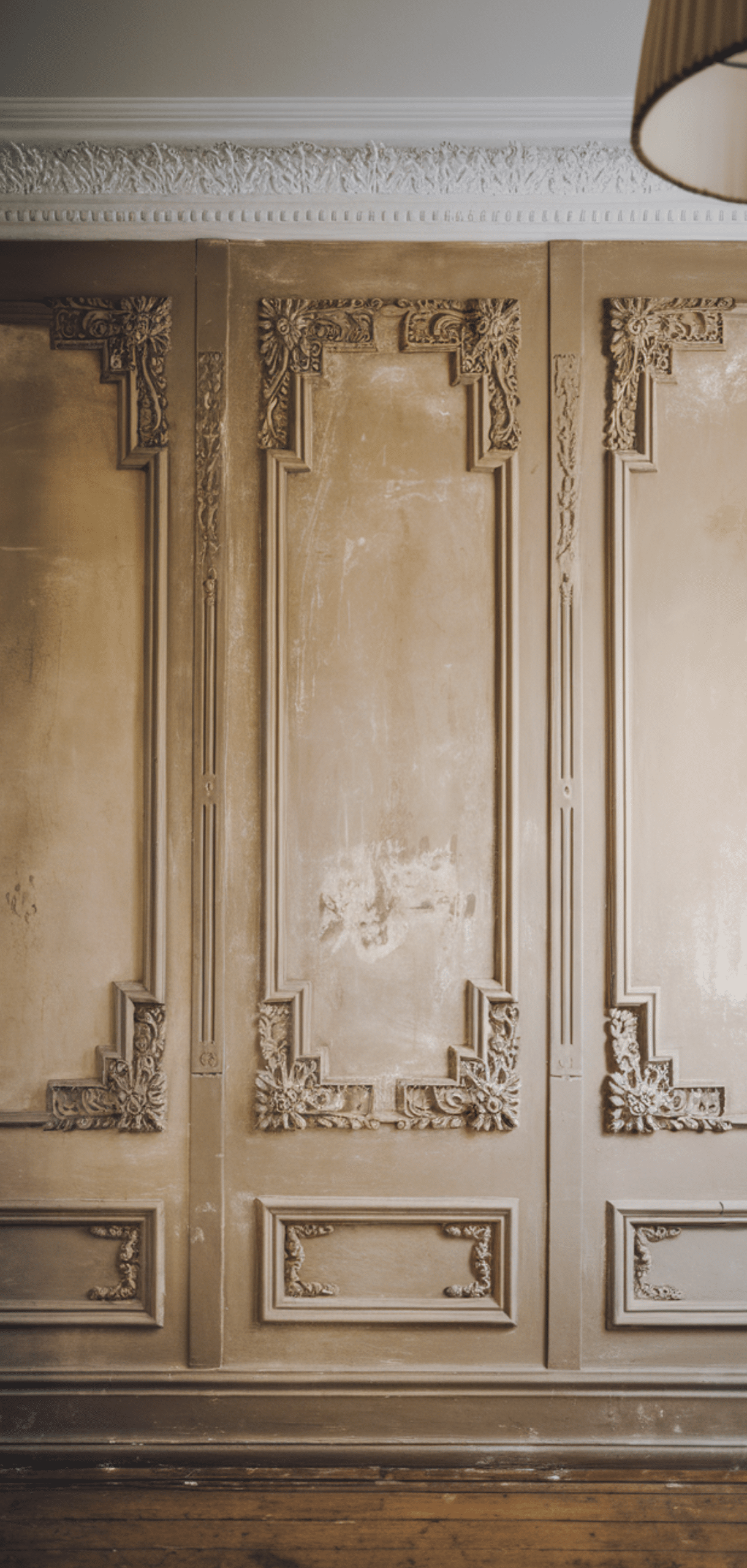 Best Wall Molding Ideas