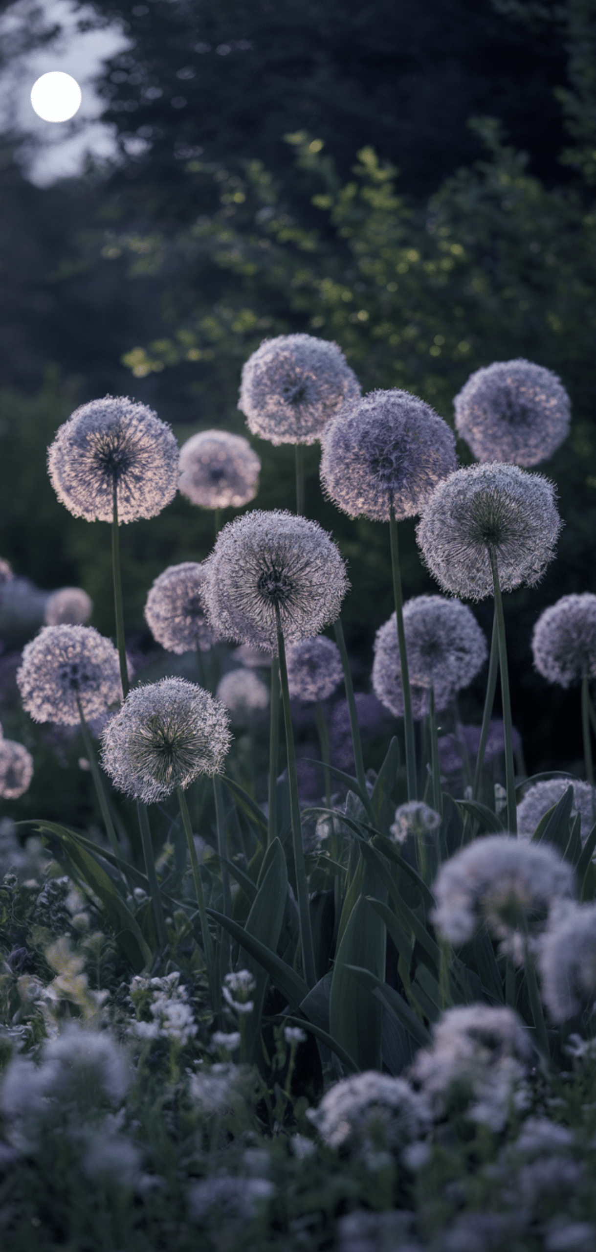 Gorgeous Allium Garden Ideas