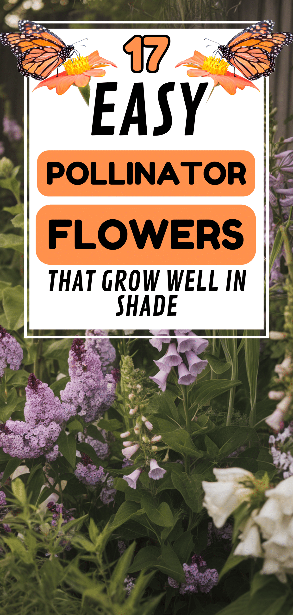 Easy Pollinator Flowers That Grow Well in Shade