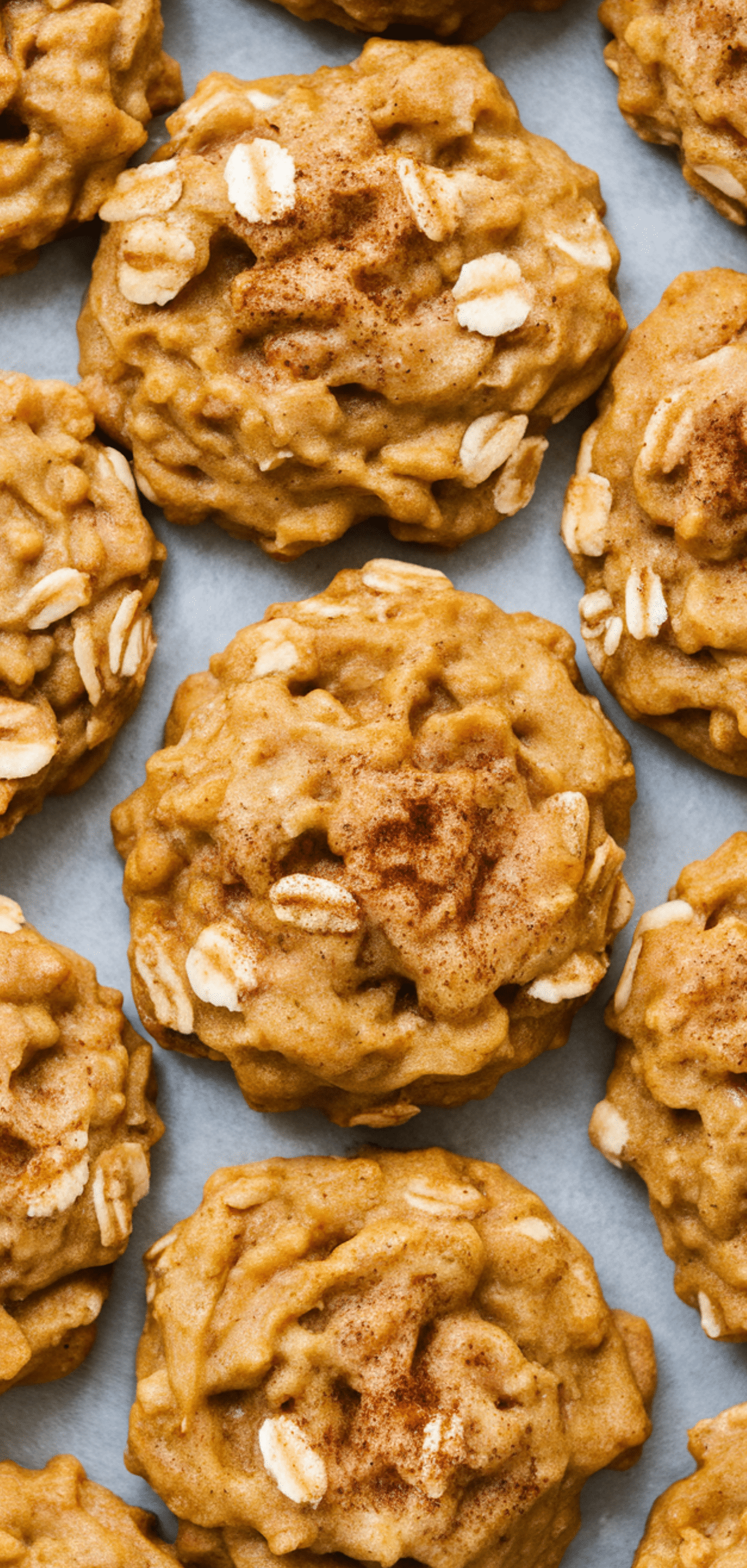 Perfect Oatmeal Cookies Recipes