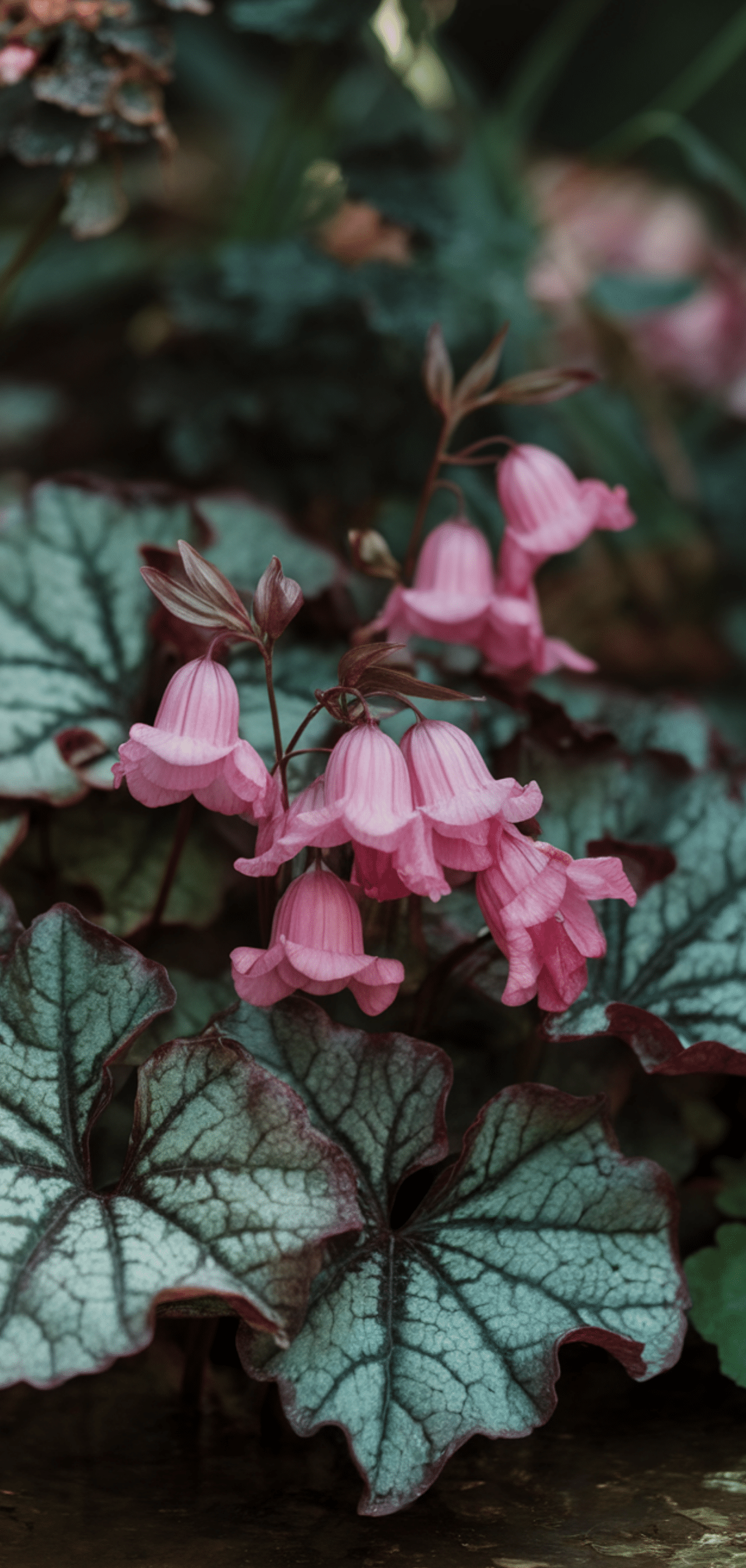 Easy Pollinator Flowers That Grow Well in Shade