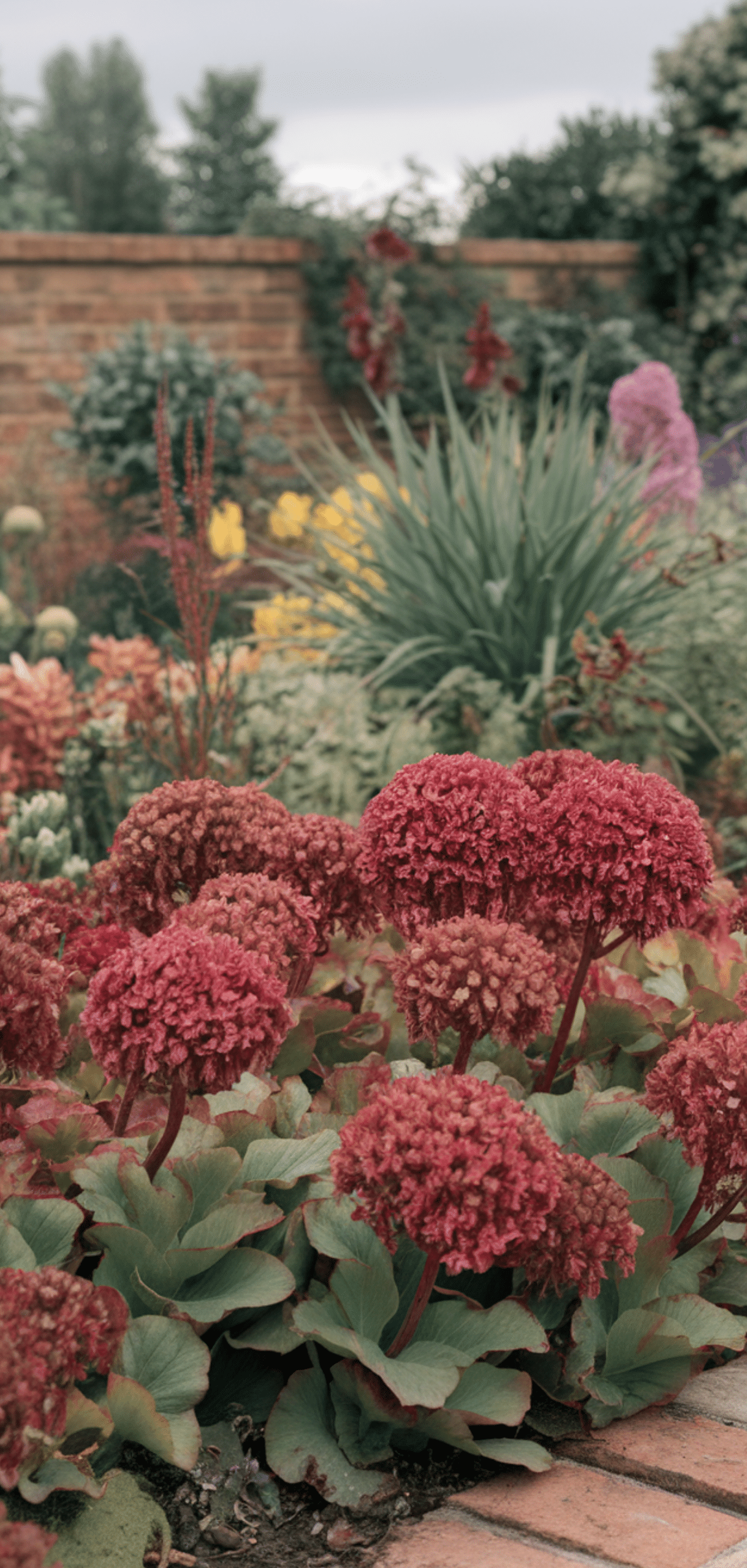 Perfect Perennial Flowers for a Spring to Fall Garden That Continuously Blooming