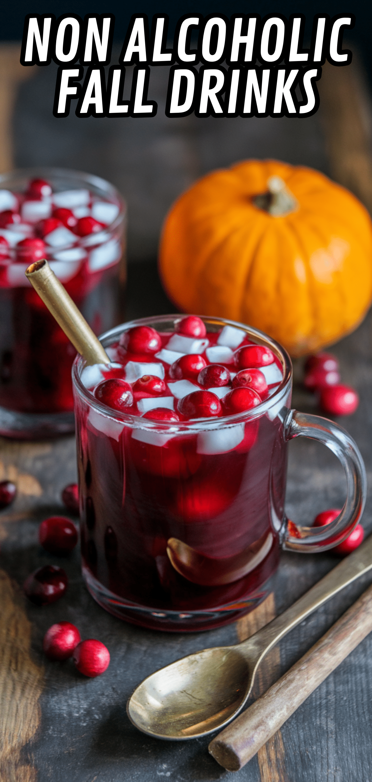 14 Amazing Non Alcoholic Fall Drinks