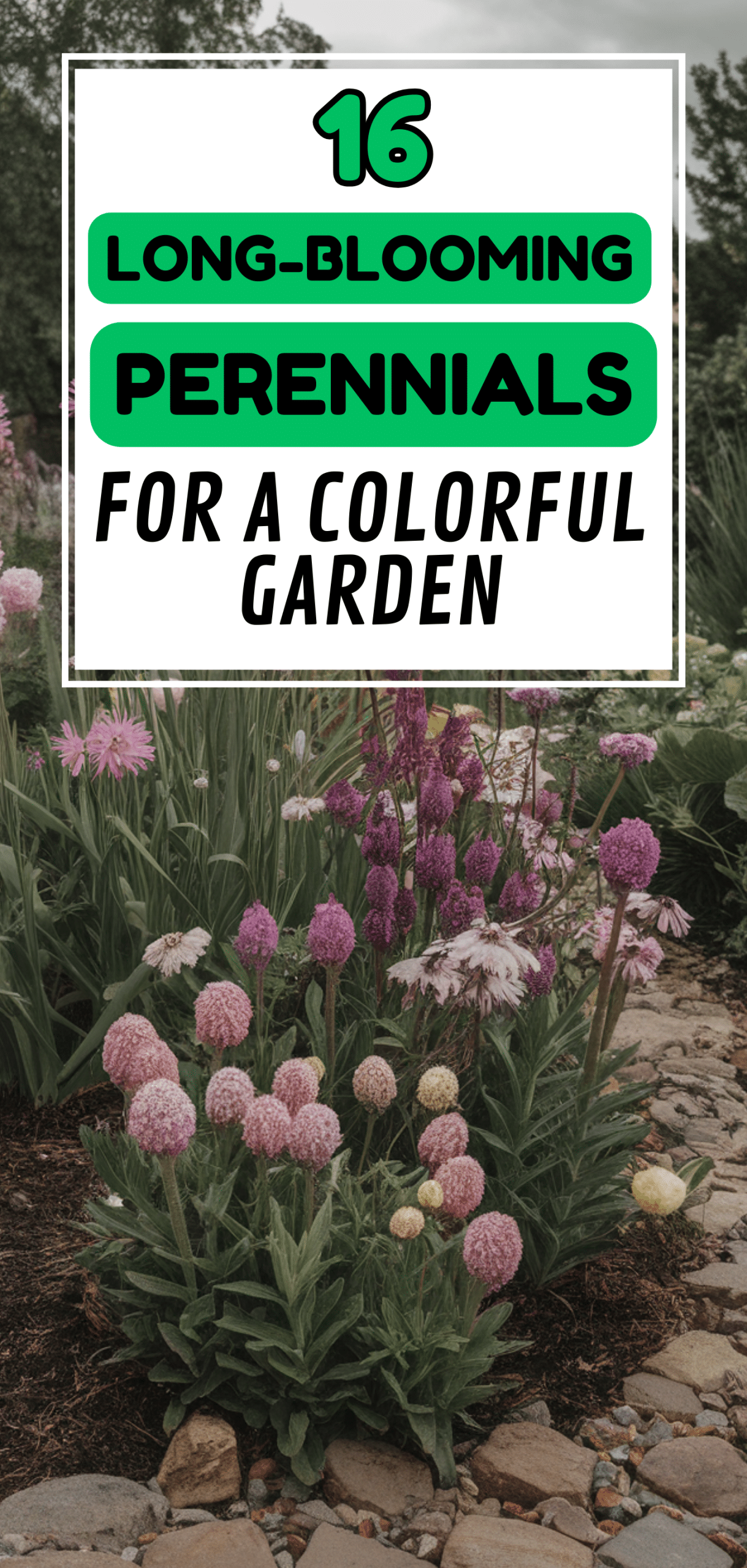 Long-Blooming Perennials for a Colorful Garden