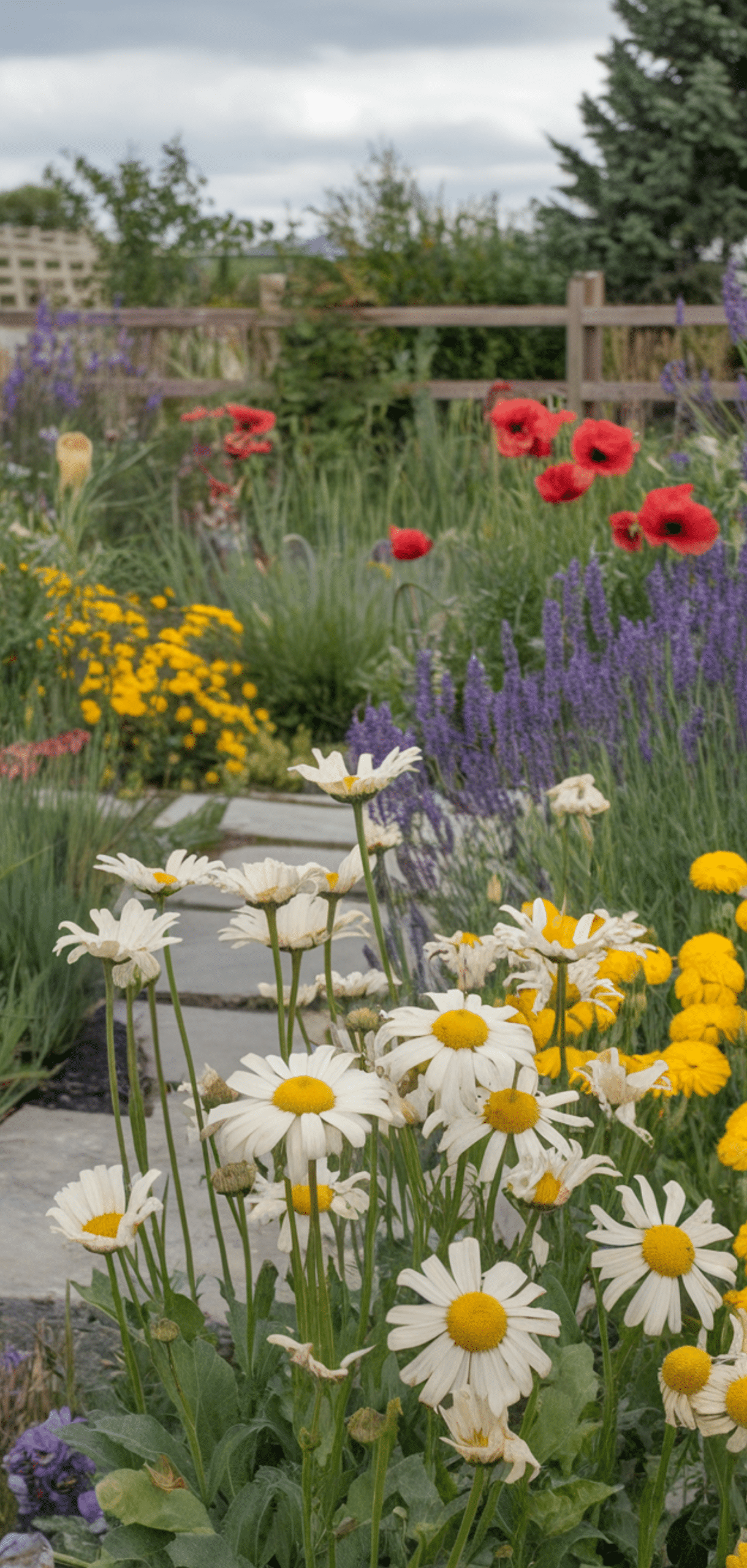 Long-Blooming Perennials for a Colorful Garden