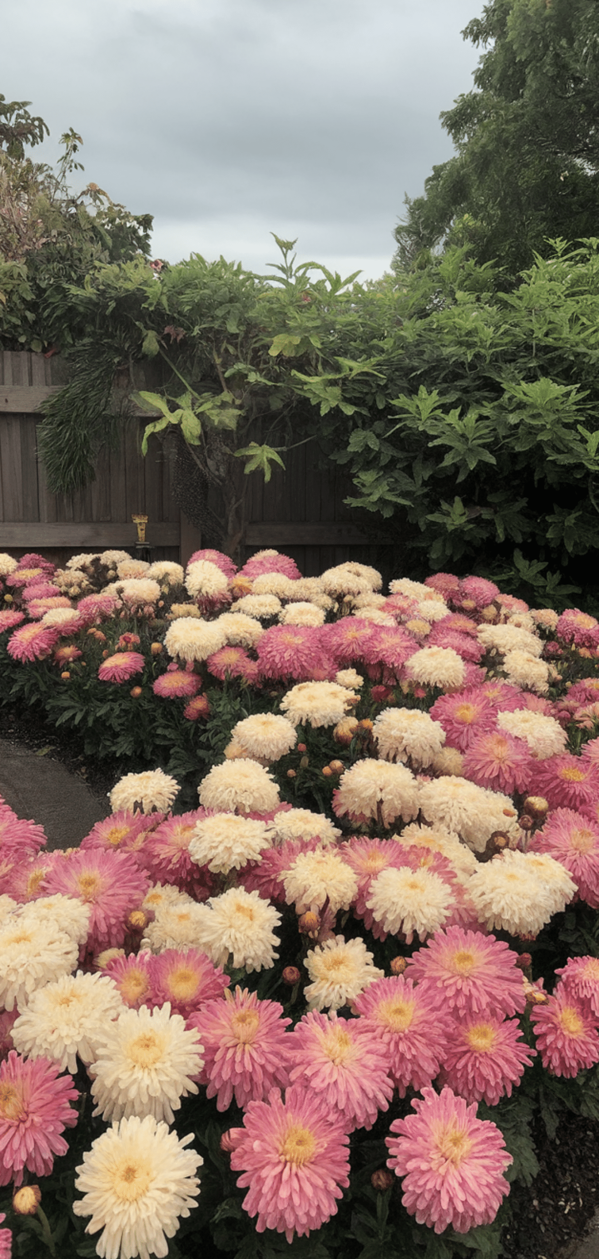 Long-Blooming Perennials for a Colorful Garden