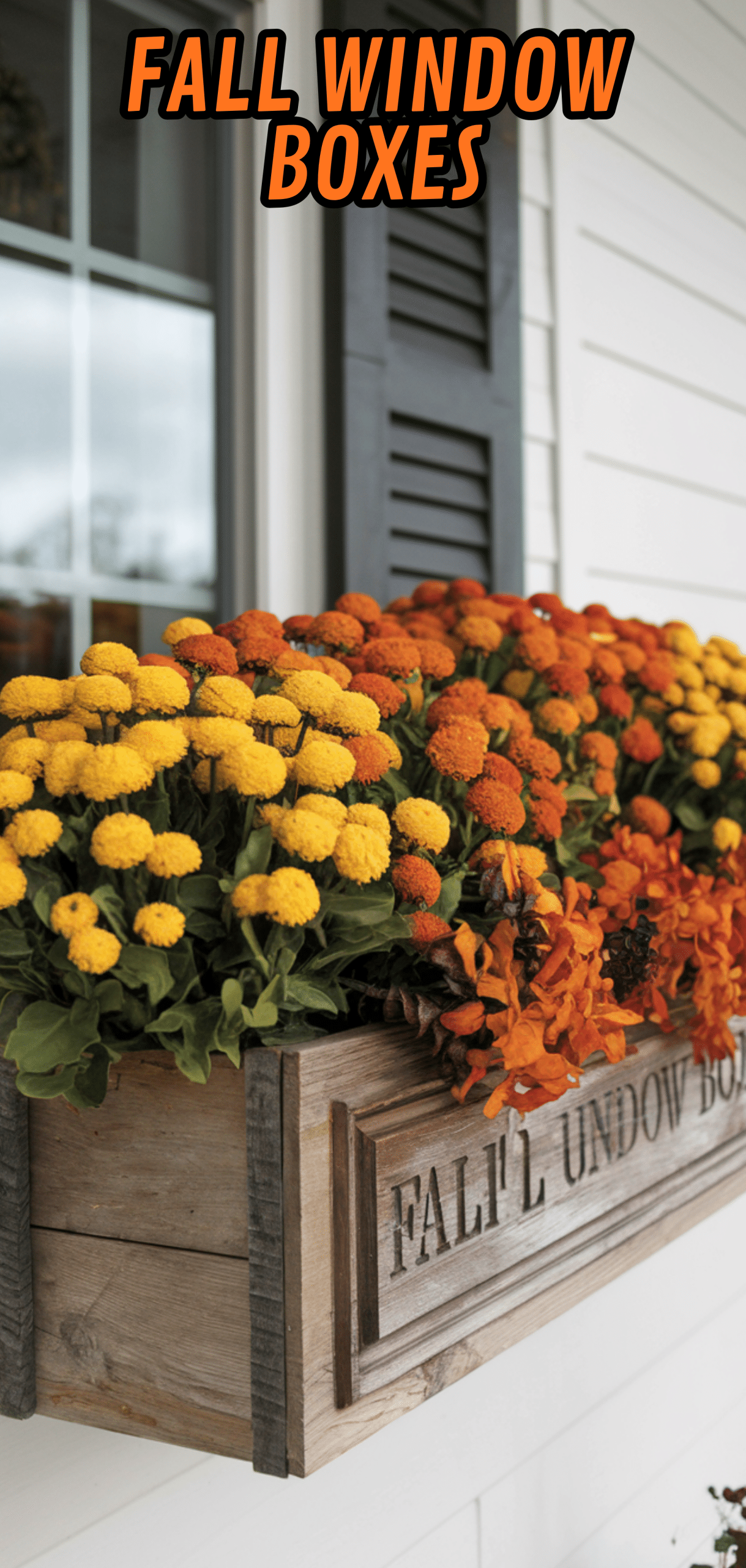 17 Beautiful Fall Window Boxes