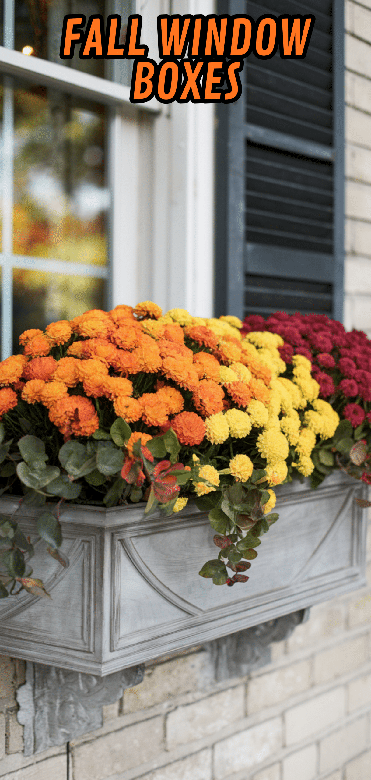17 Beautiful Fall Window Boxes
