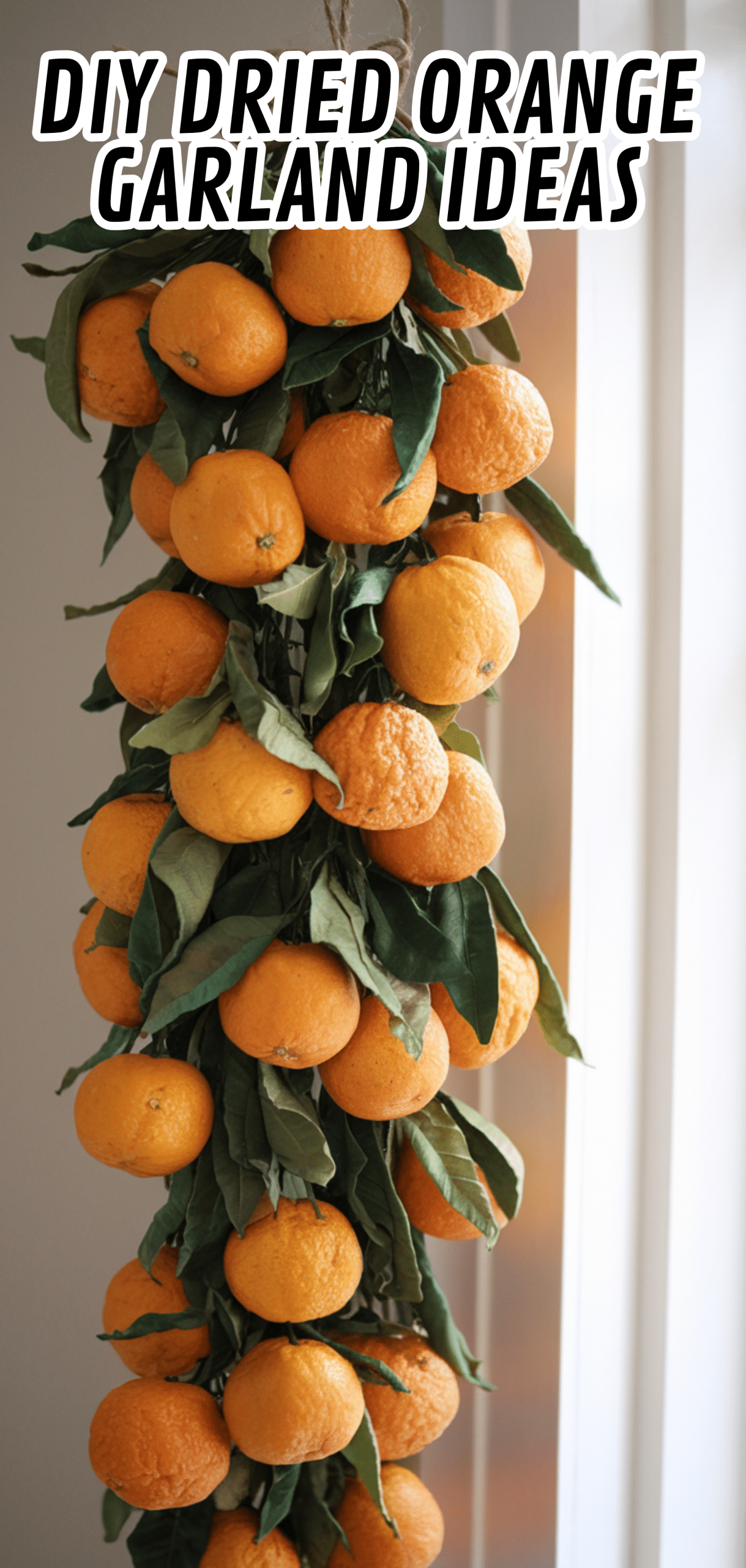 18 Stunning DIY Dried Orange Garland Ideas
