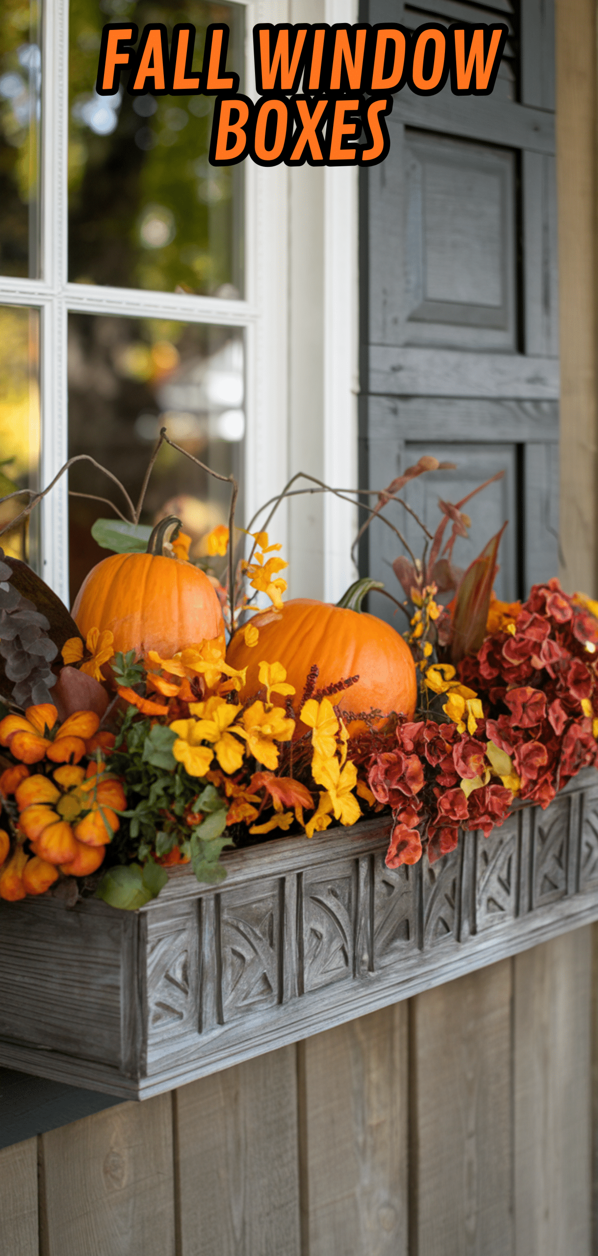 17 Beautiful Fall Window Boxes