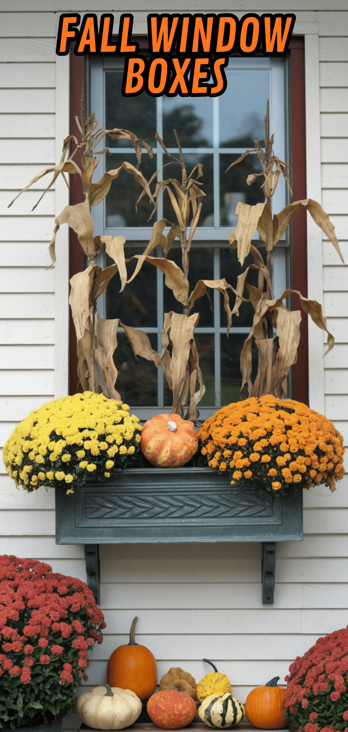 17 Beautiful Fall Window Boxes