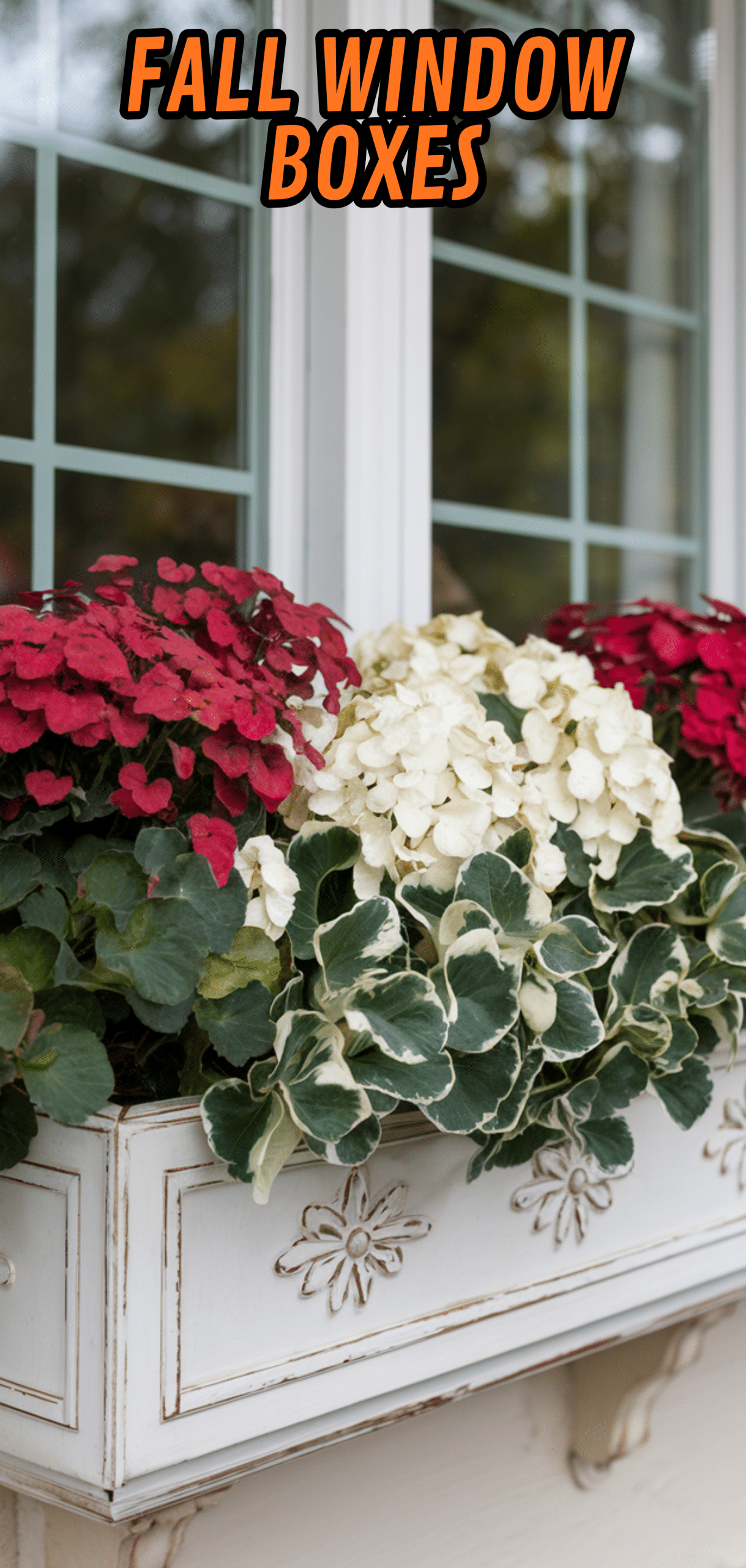 17 Beautiful Fall Window Boxes