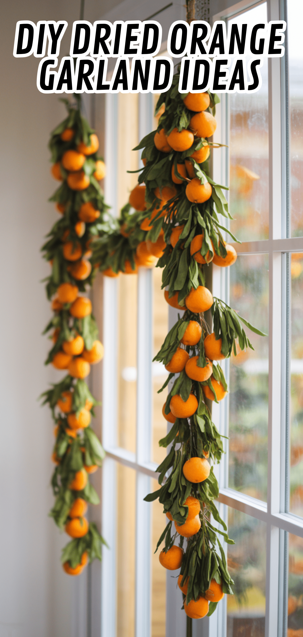 18 Stunning DIY Dried Orange Garland Ideas