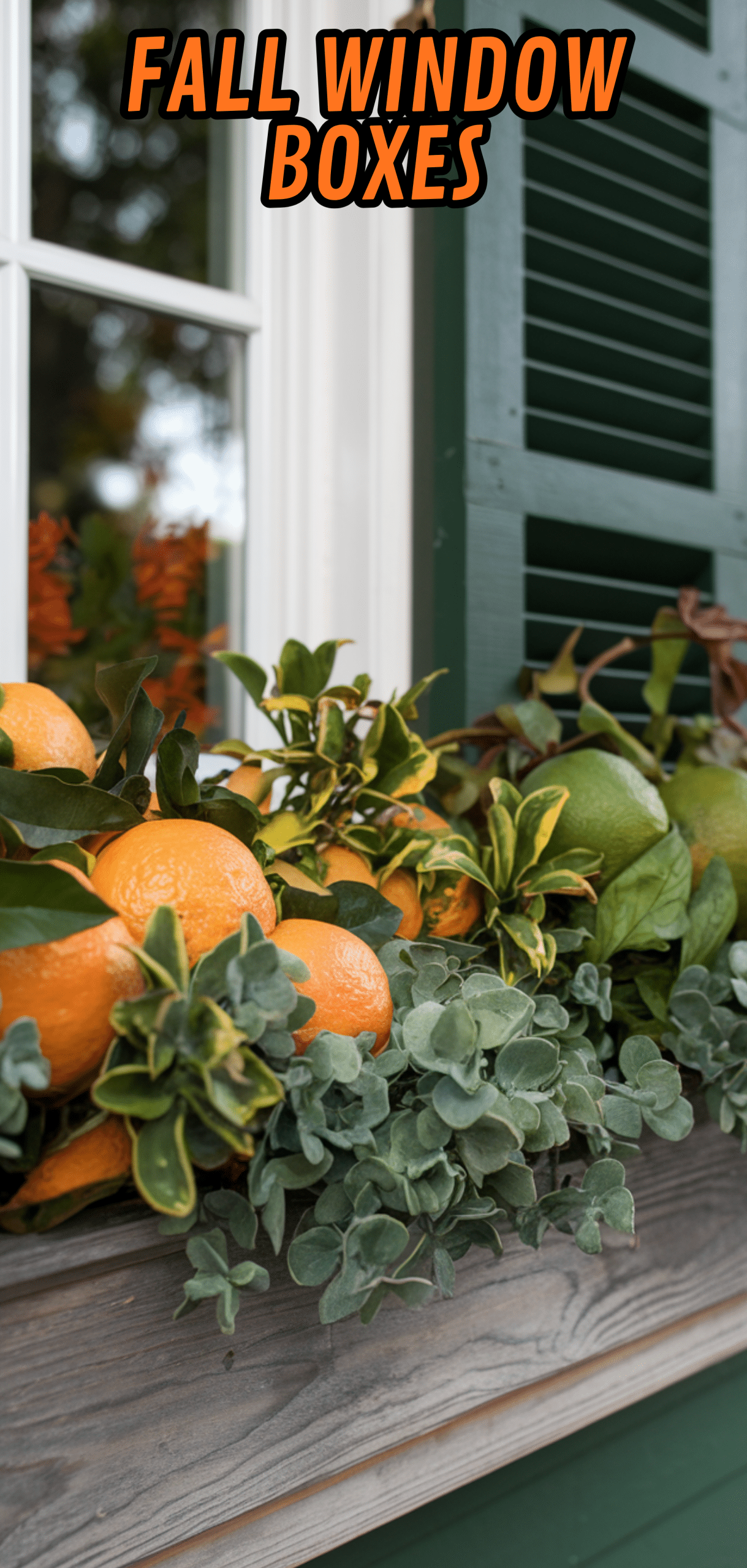17 Beautiful Fall Window Boxes