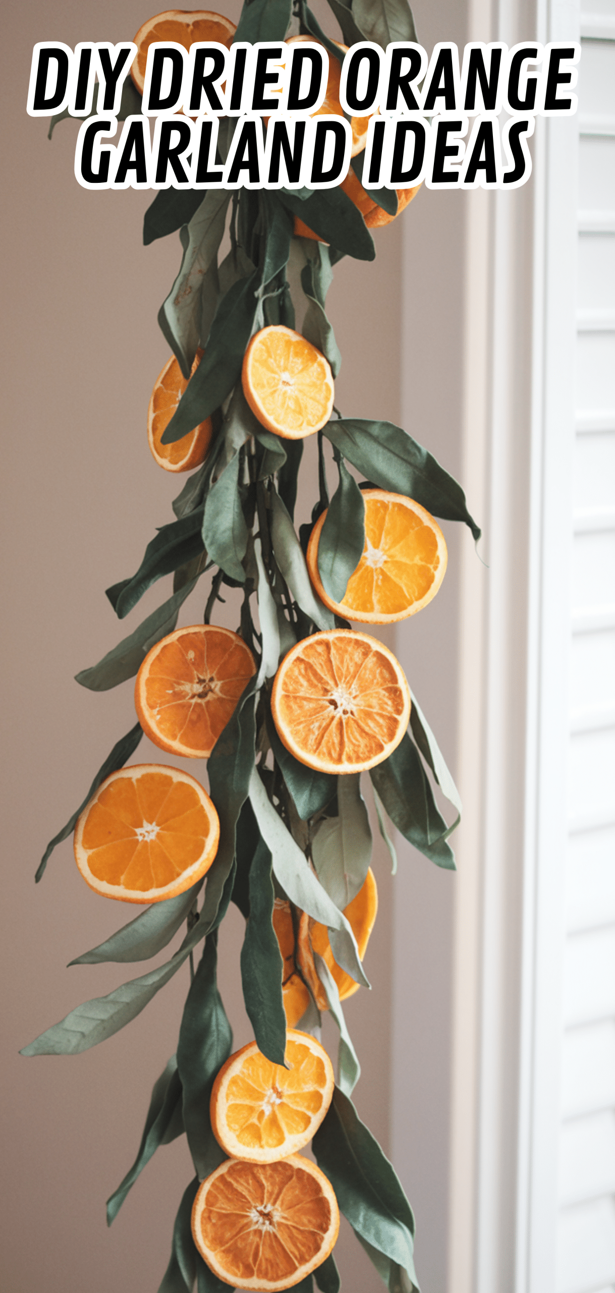 18 Stunning DIY Dried Orange Garland Ideas