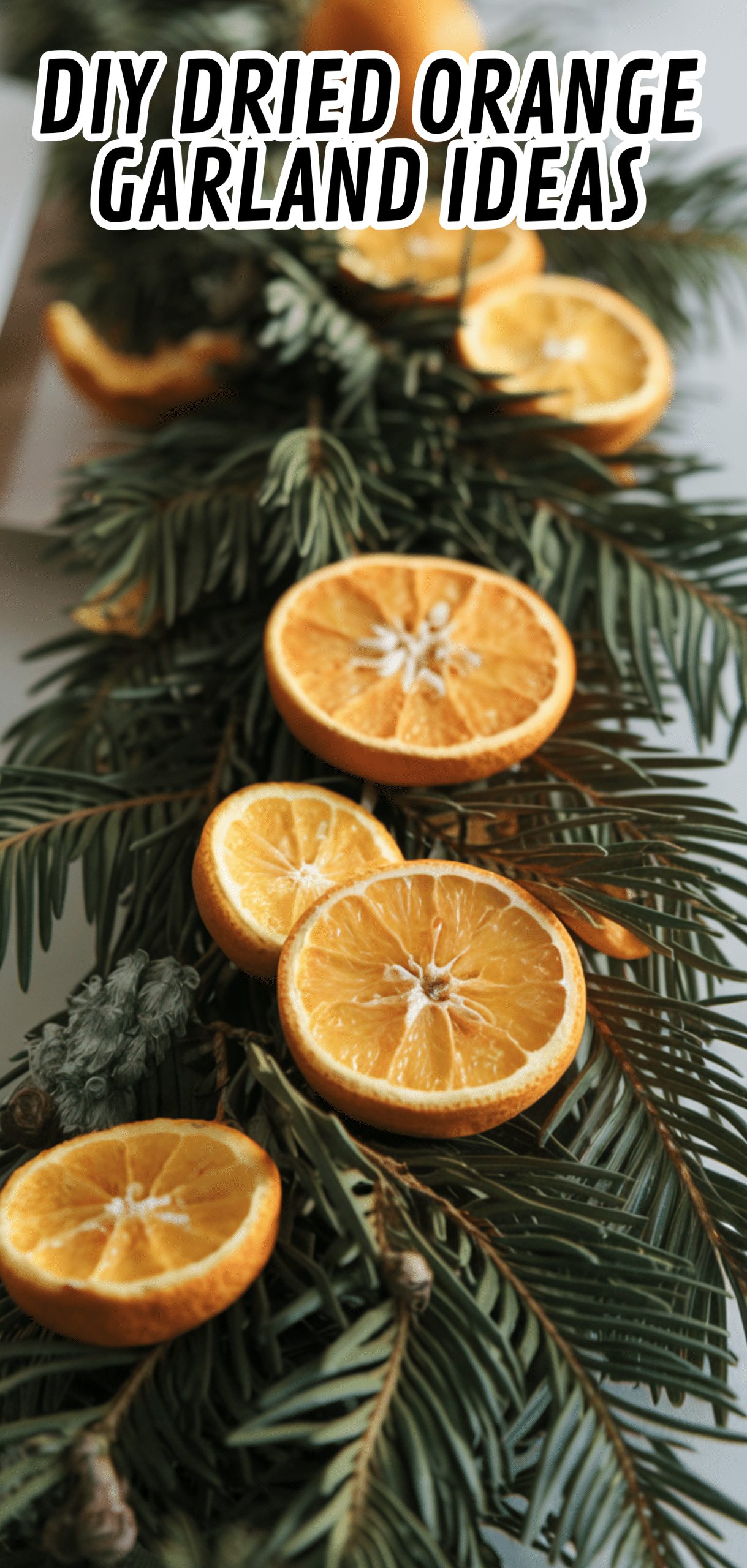 18 Stunning DIY Dried Orange Garland Ideas