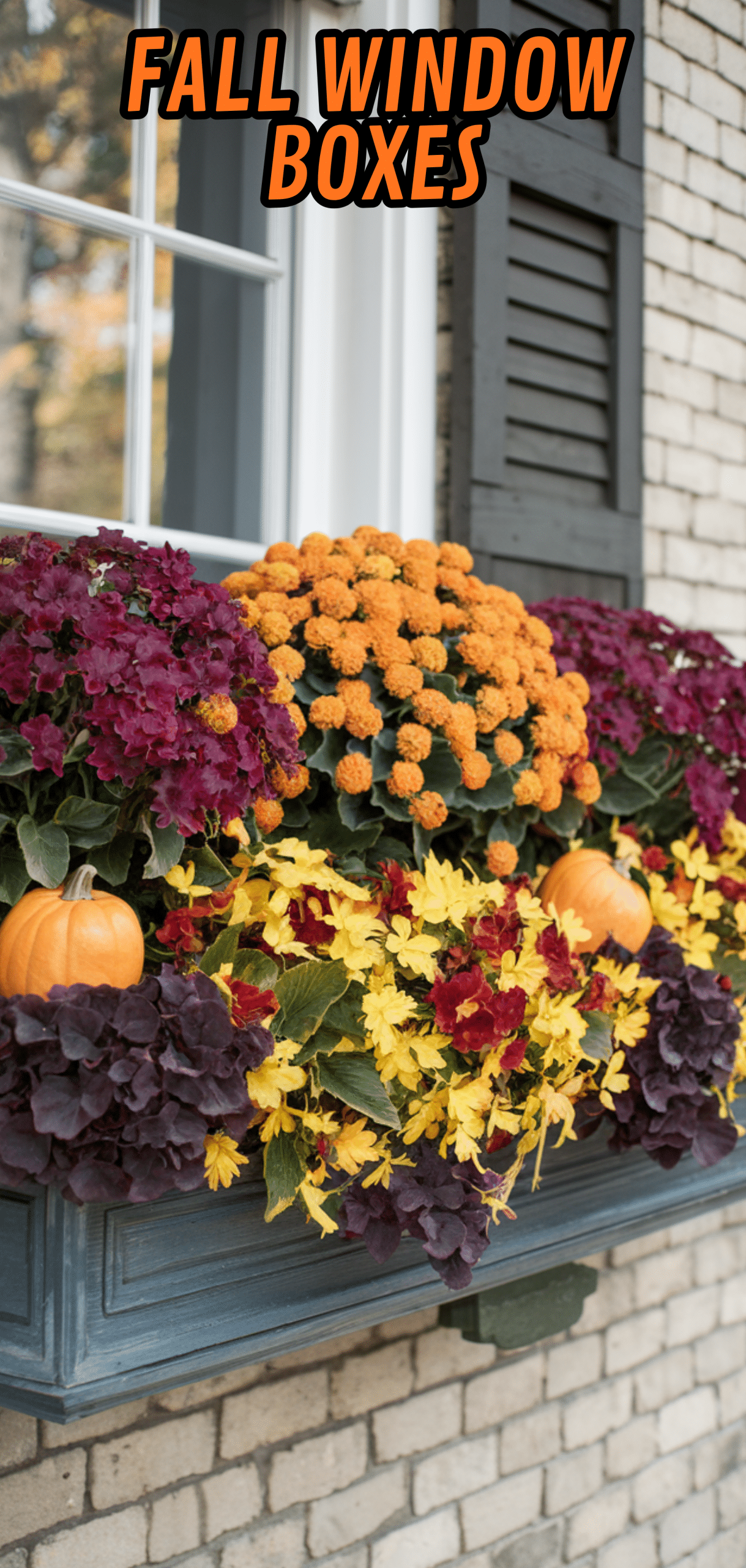 17 Beautiful Fall Window Boxes