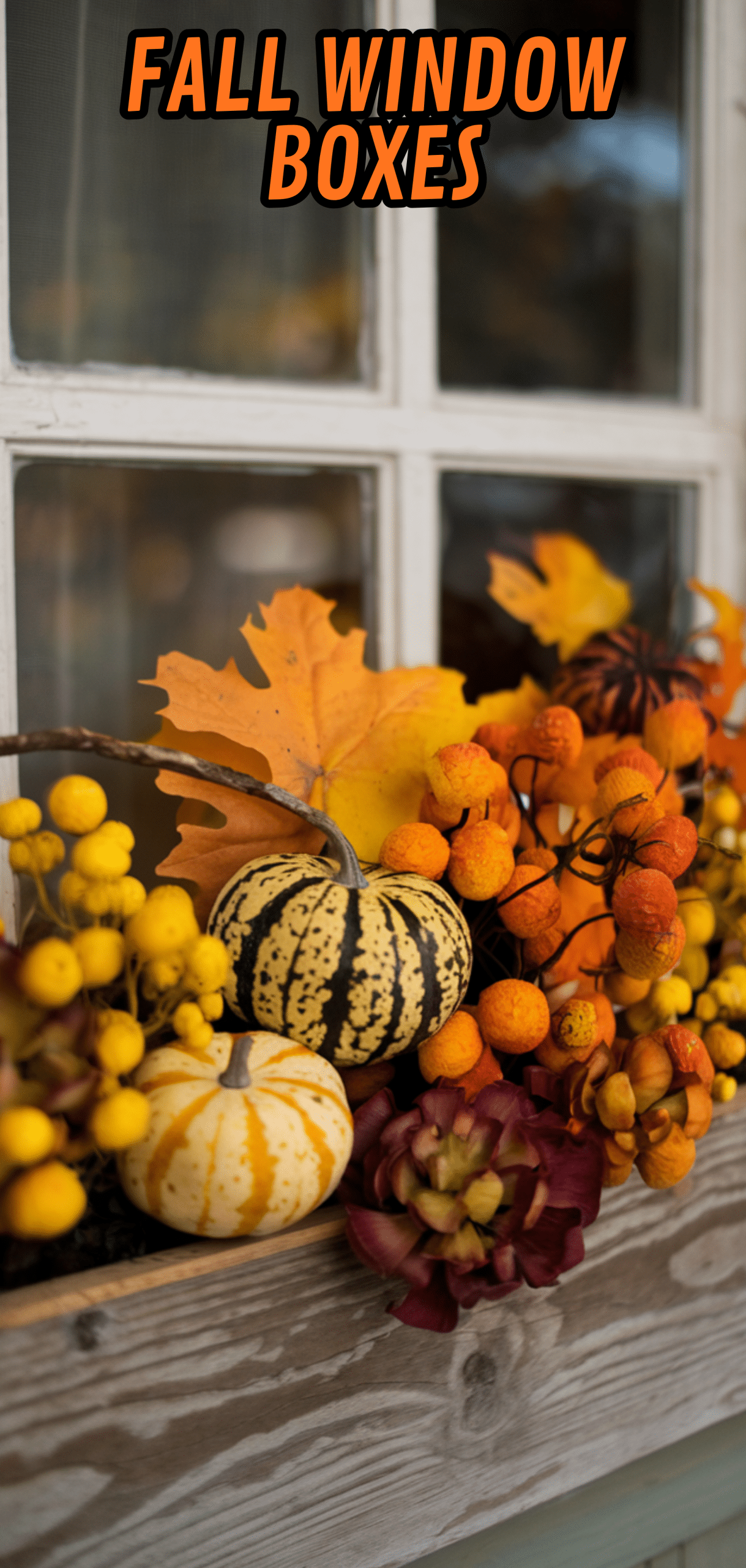 17 Beautiful Fall Window Boxes