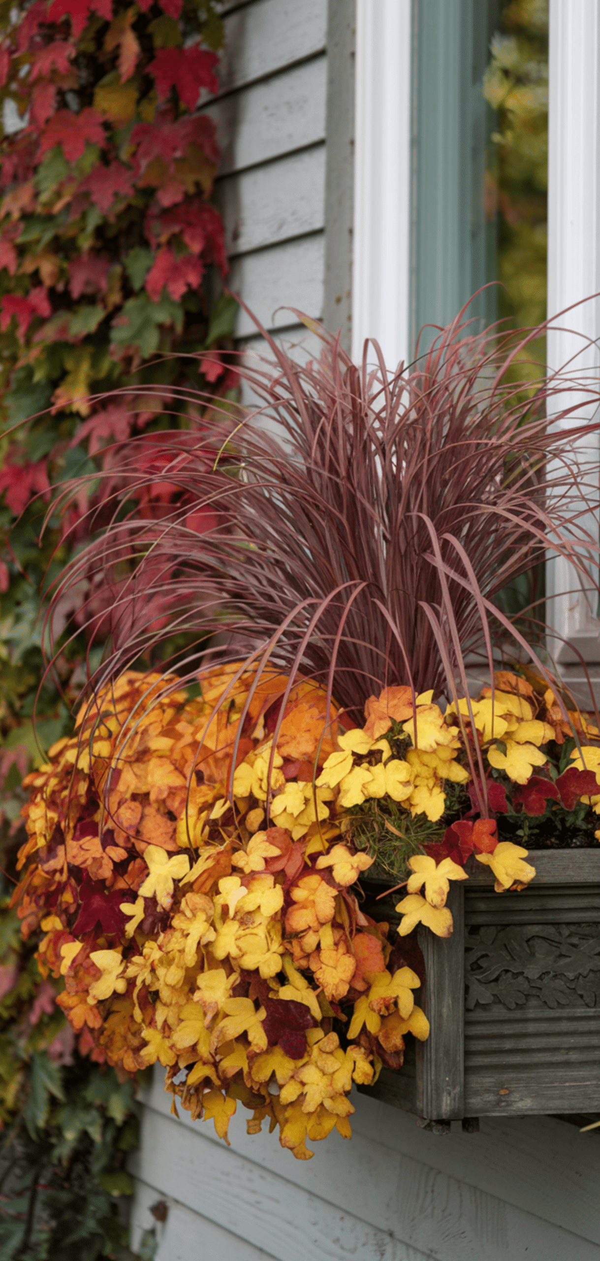 17 Beautiful Fall Window Boxes