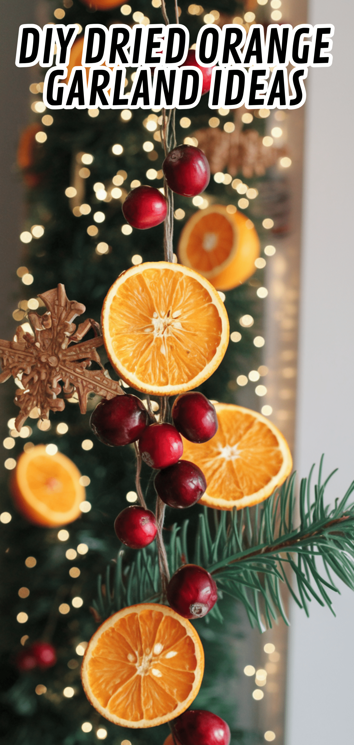 18 Stunning DIY Dried Orange Garland Ideas