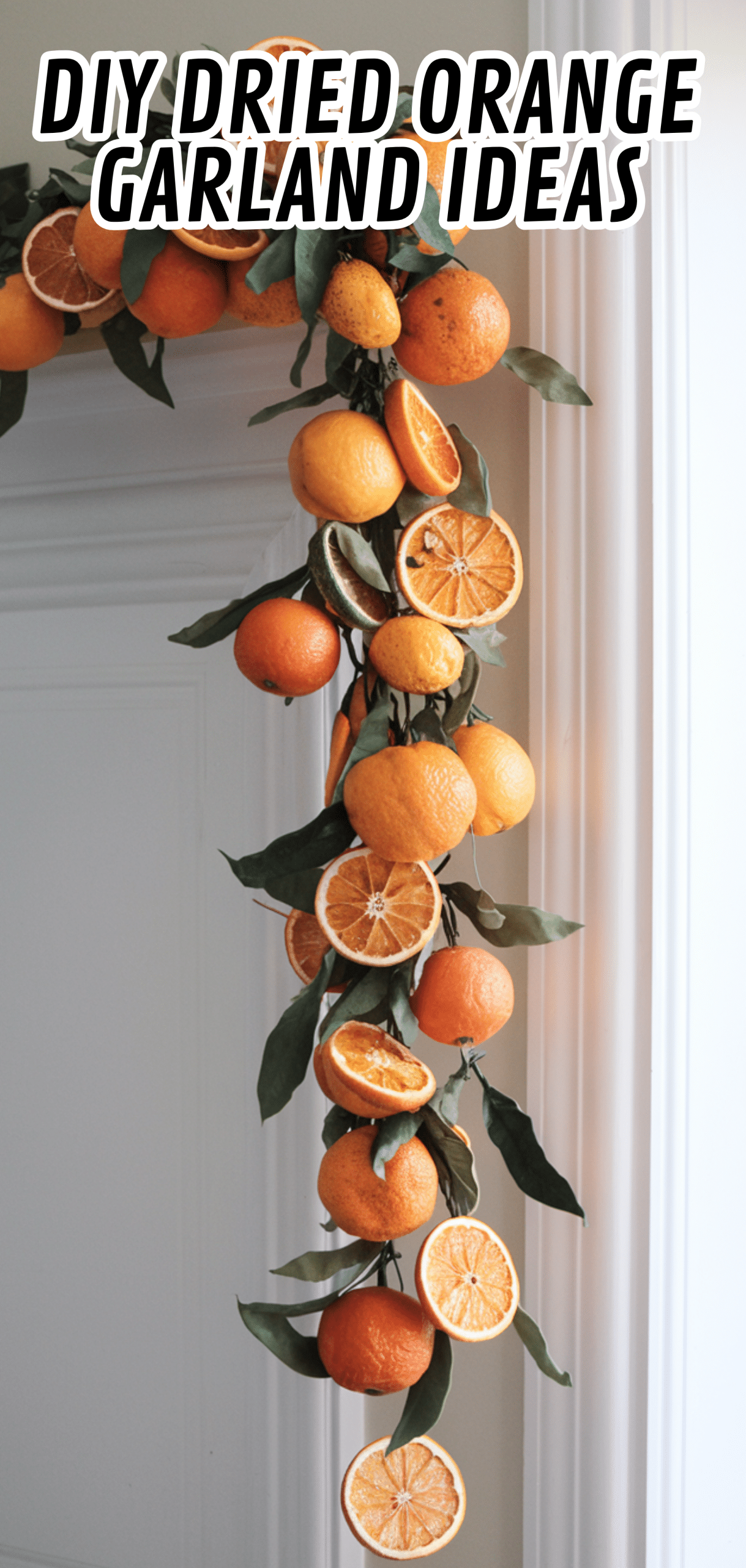 18 Stunning DIY Dried Orange Garland Ideas