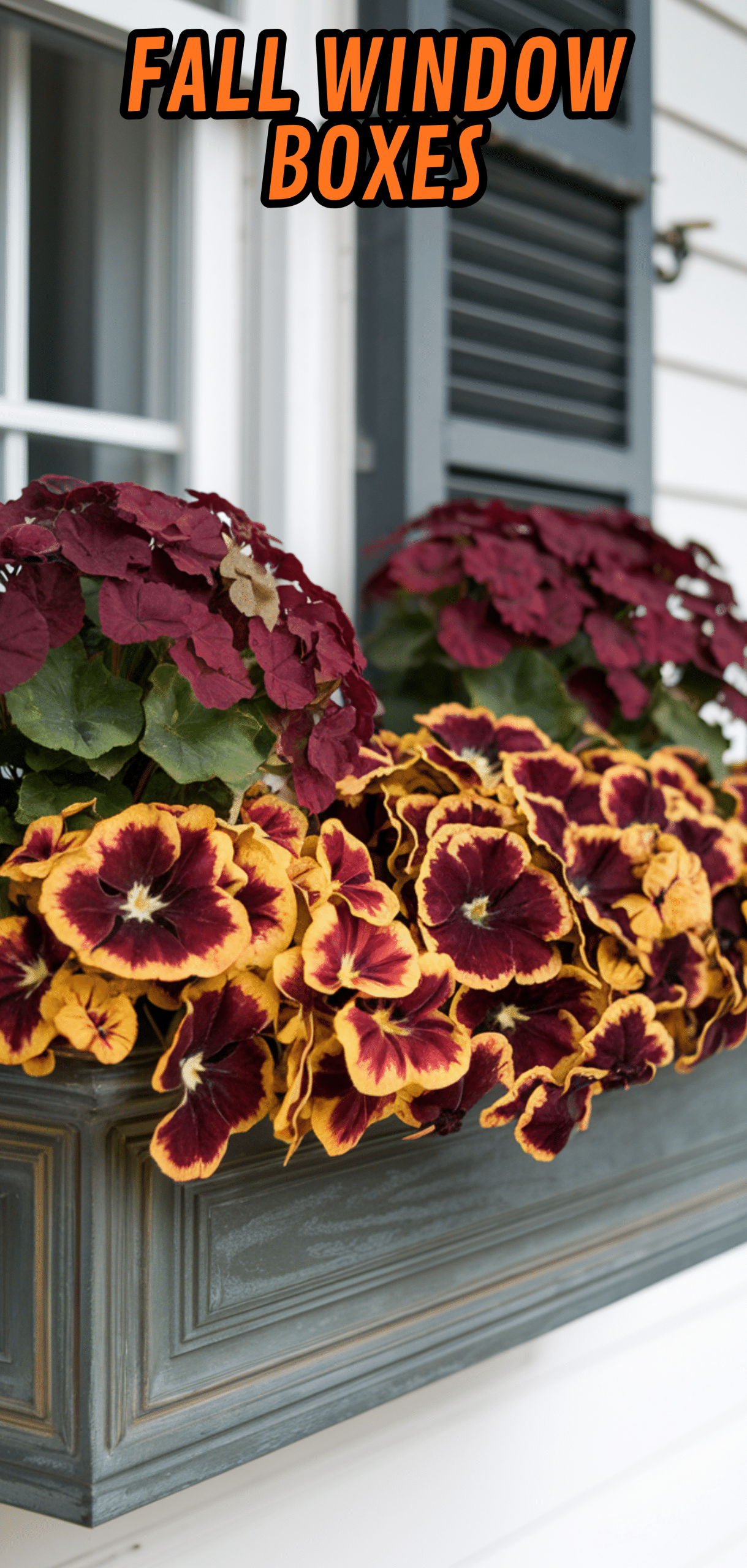 17 Beautiful Fall Window Boxes