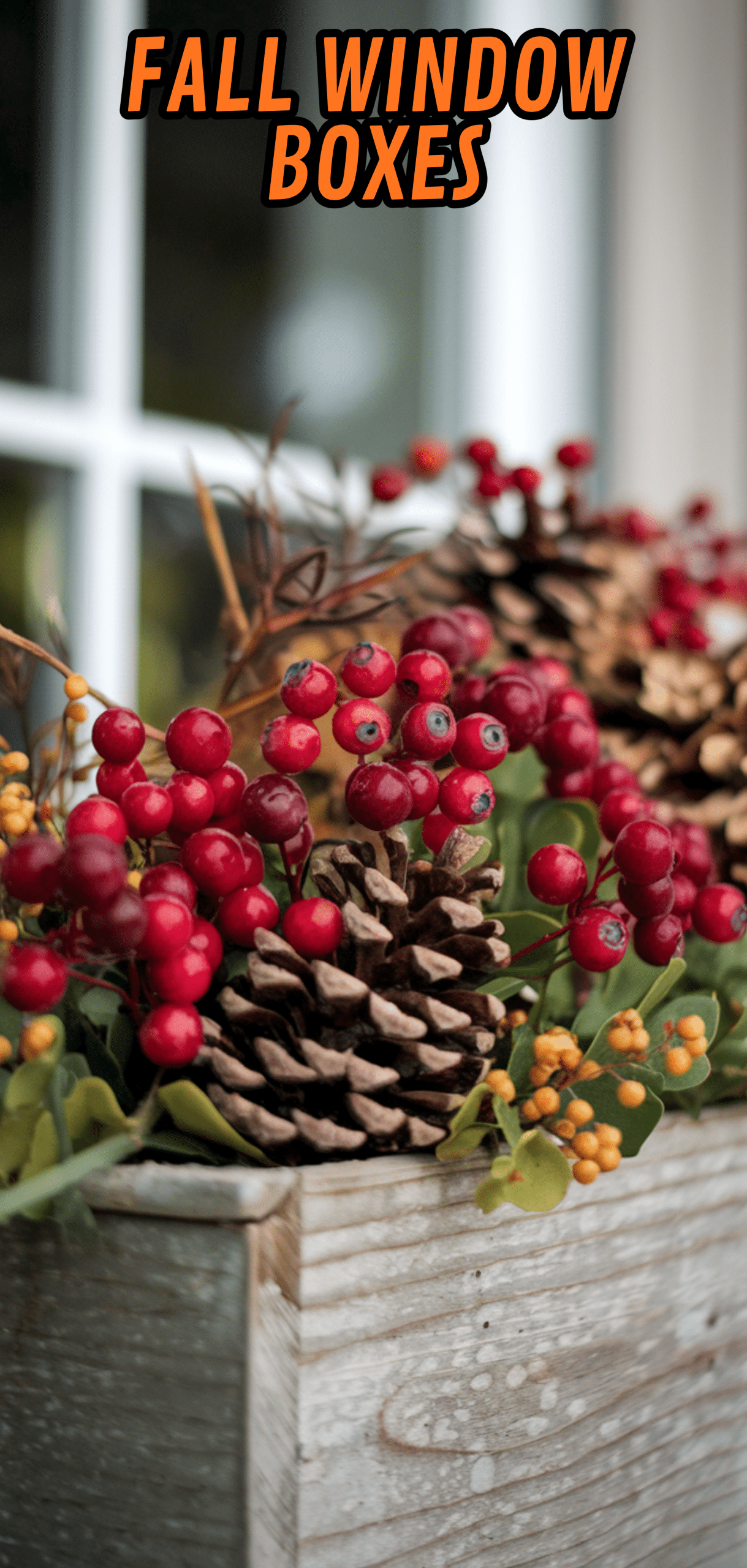 17 Beautiful Fall Window Boxes