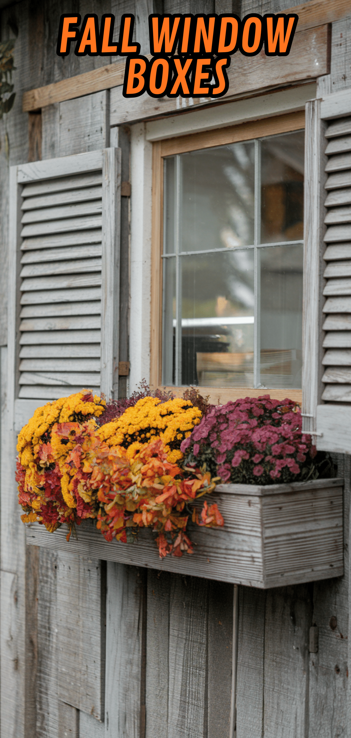 17 Beautiful Fall Window Boxes