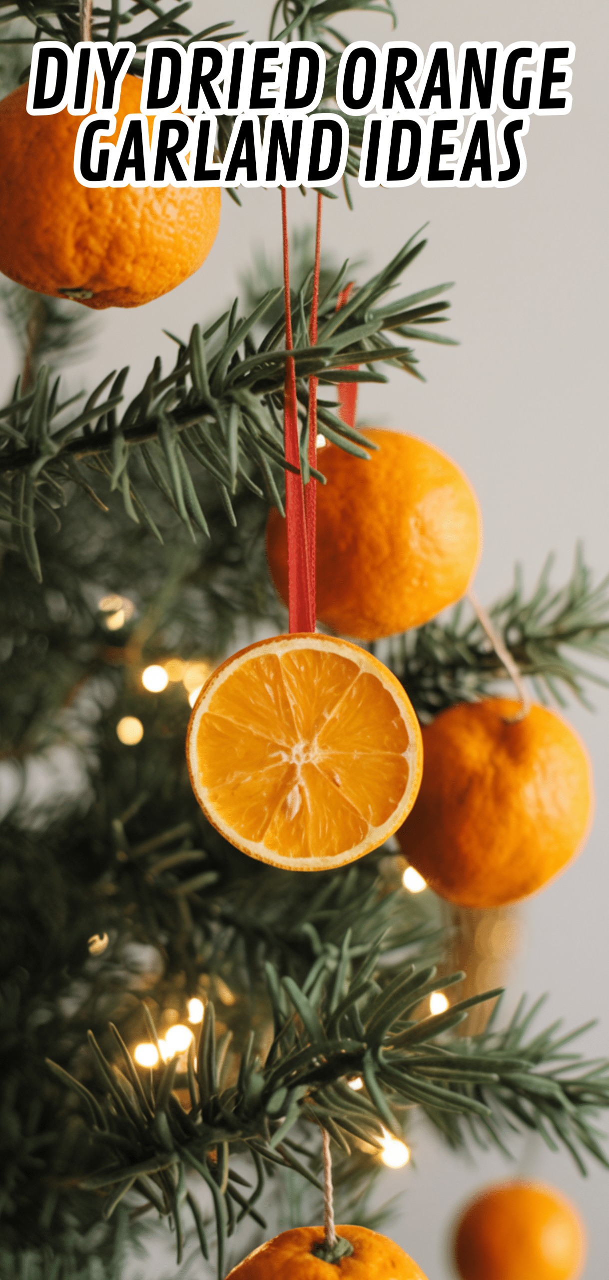 18 Stunning DIY Dried Orange Garland Ideas