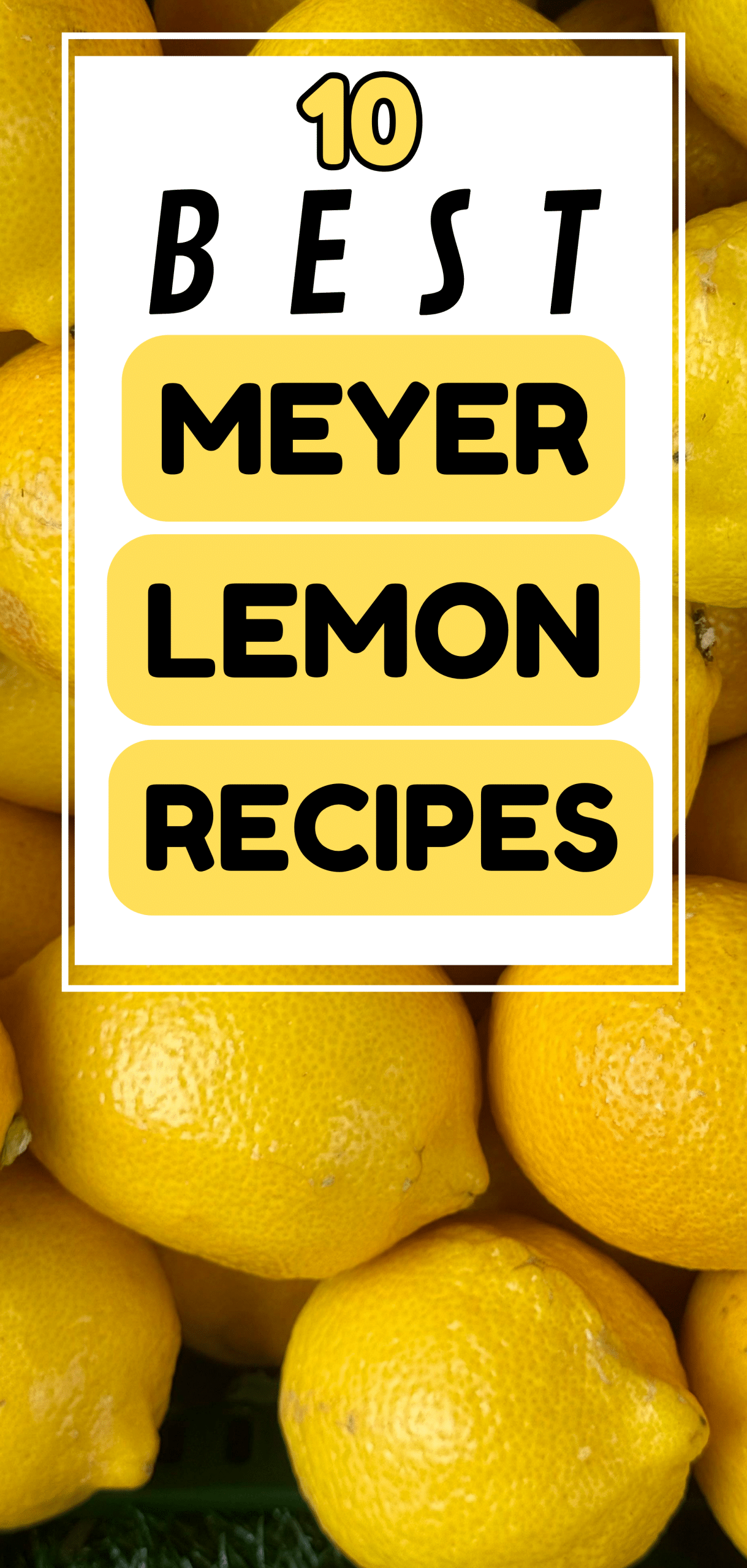 10 Best Meyer Lemon Recipes - The Mega Mom