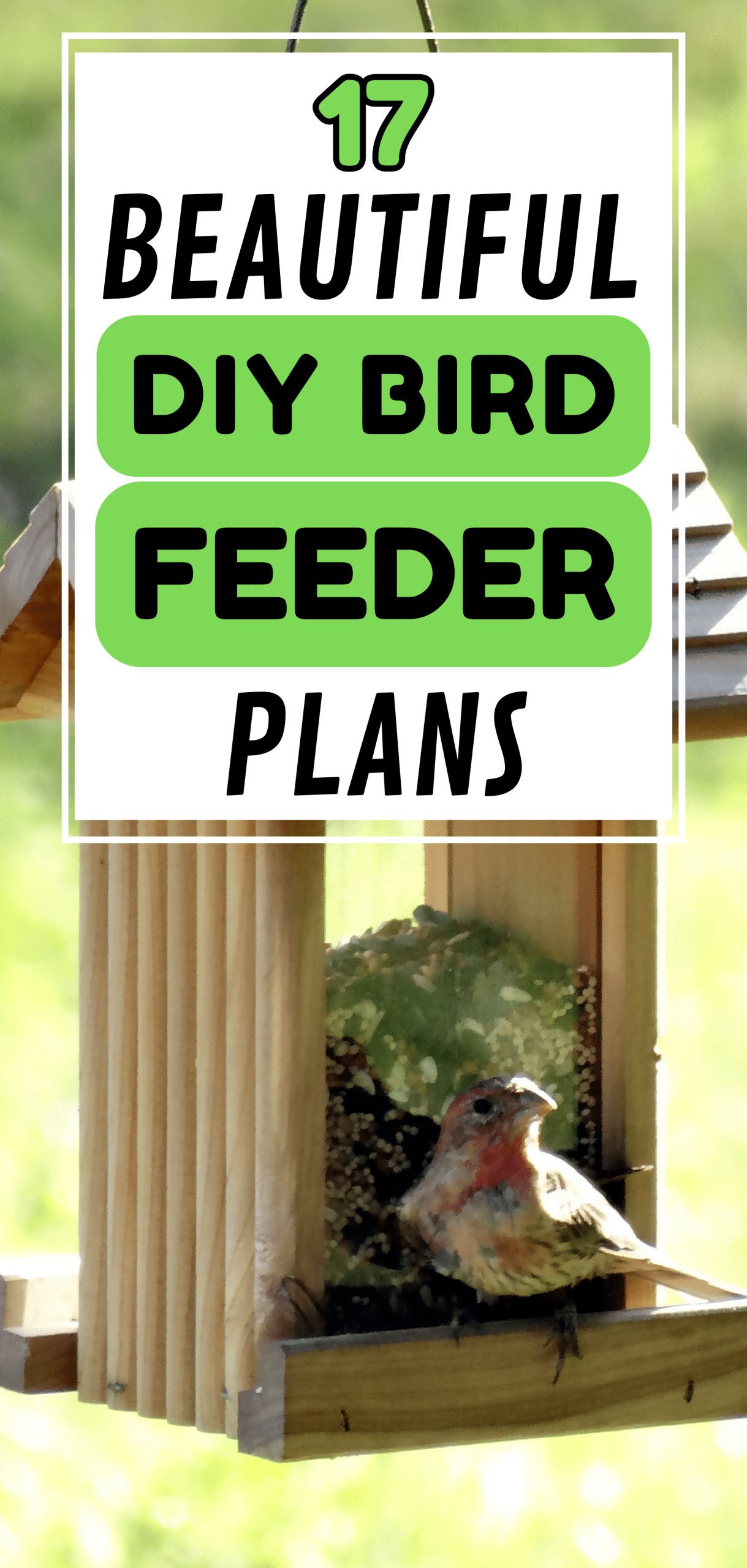 17 Beautiful DIY Bird Feeder Plans