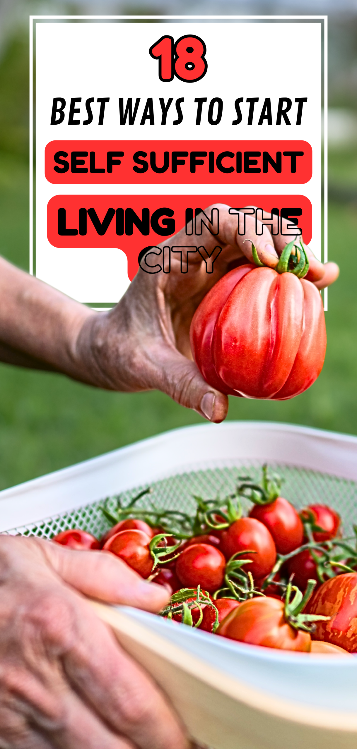 18 Best Ways to Start Self Sufficient Living in the City
