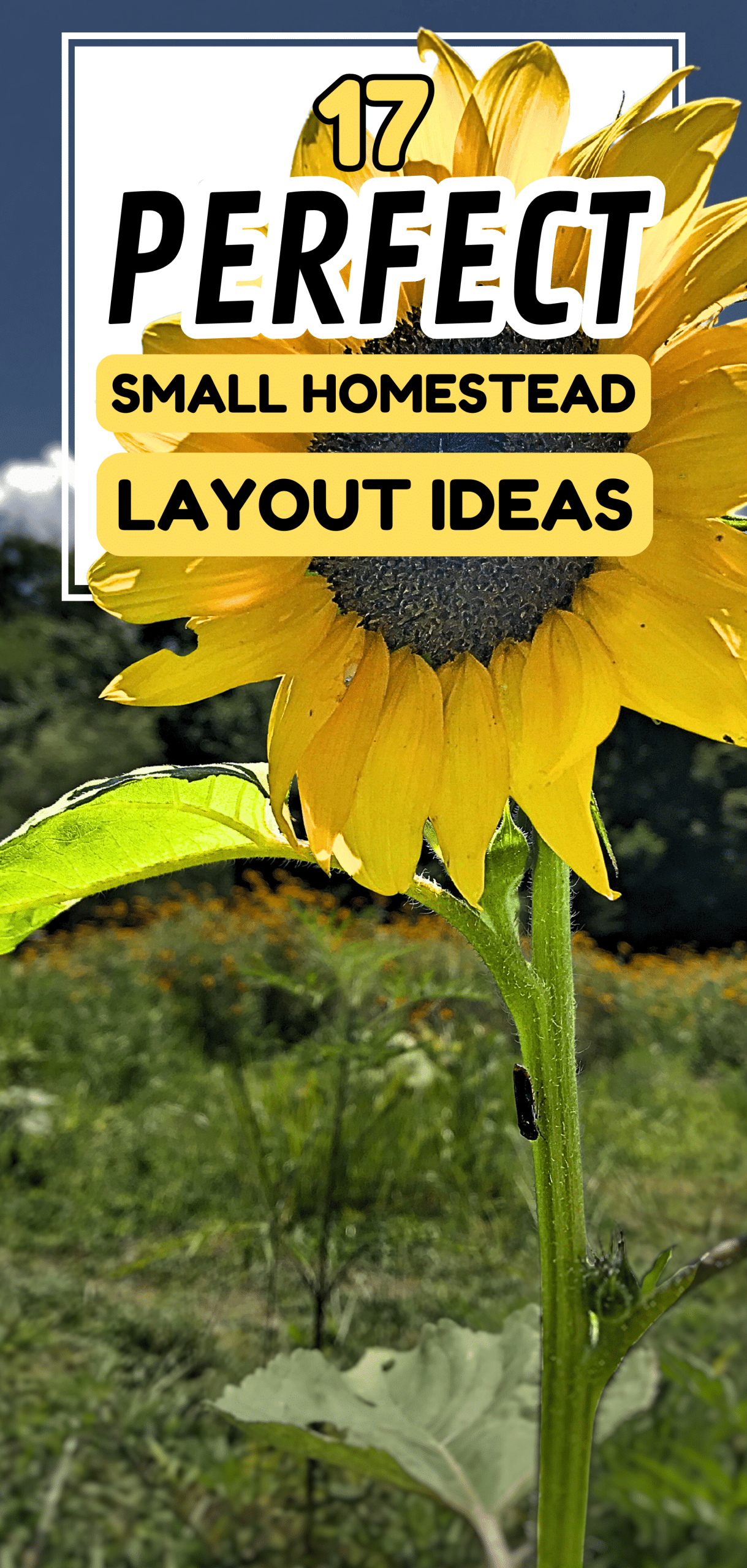 17 Perfect Small Homestead Layout Ideas