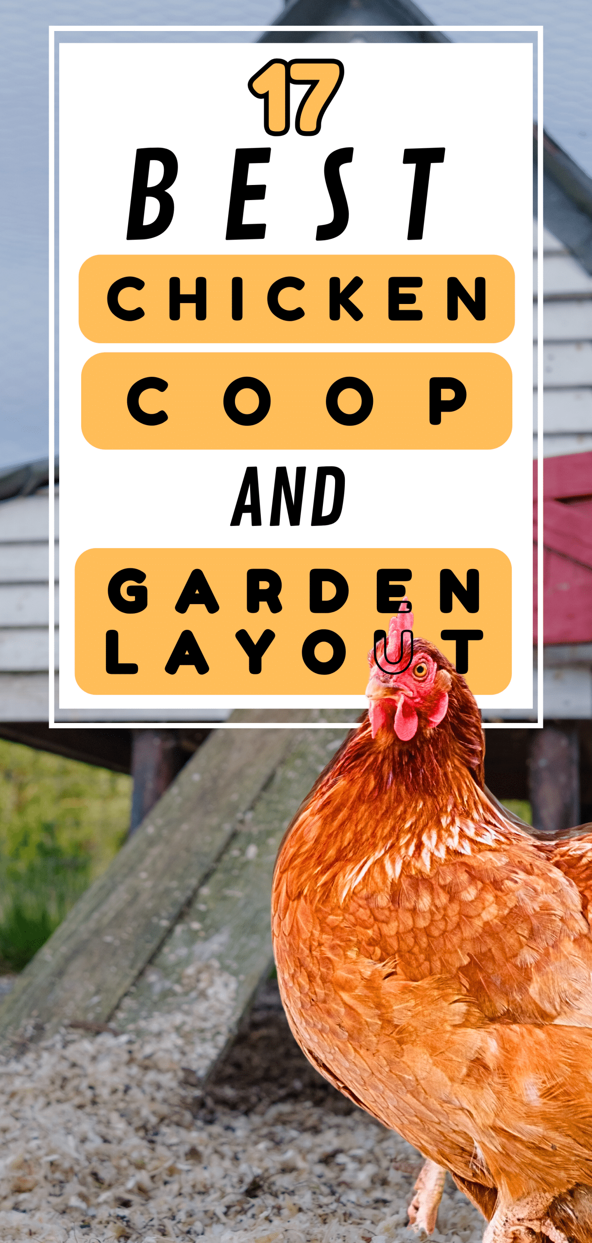17 Best Chicken Coop and Garden Layout Ideas
