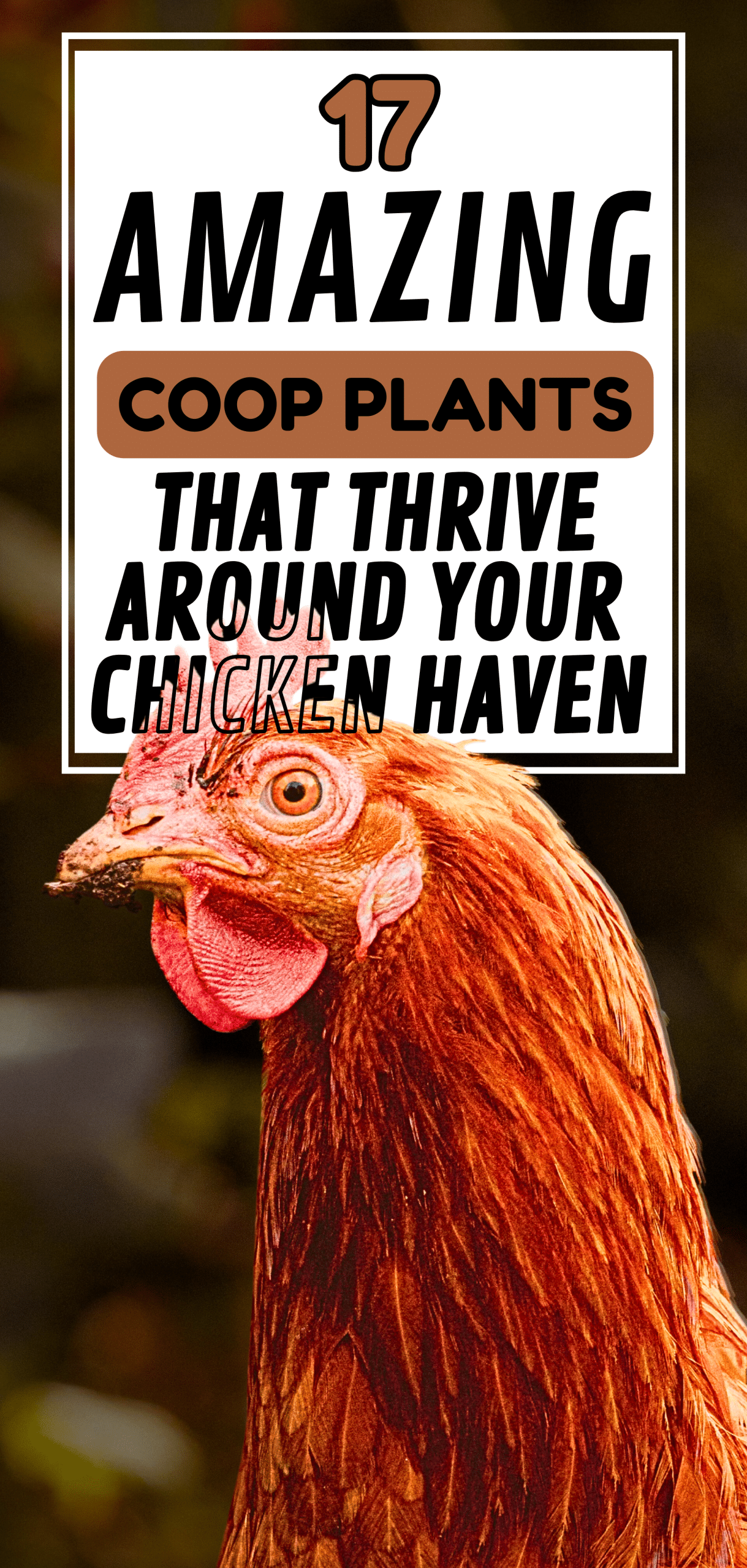 17 Amazing Coop Plants That Thrive Around Your Chicken Haven