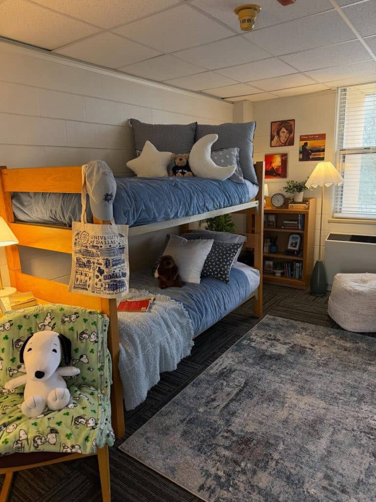 College Lofted Bed Dorm Room Ideas That Make a Small Space Feel Like Home