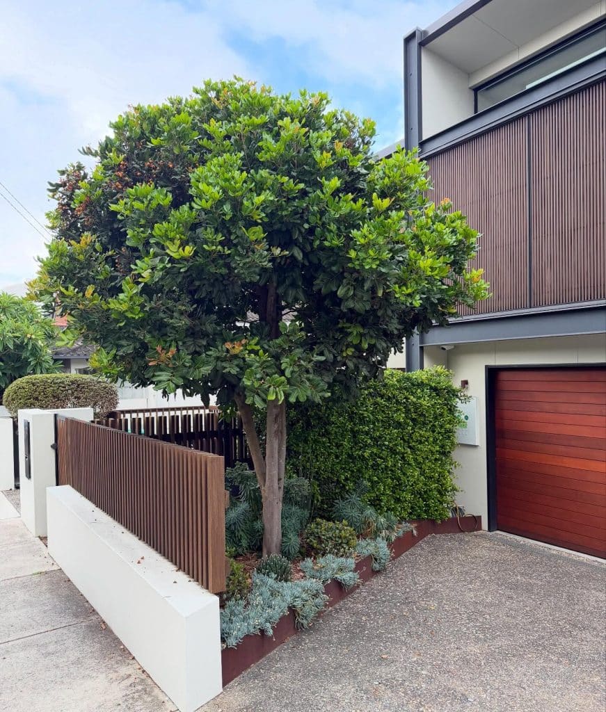 Under-Tree Landscaping Ideas That Finally Made My Bare Patches Look Intentional
