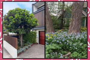 Under-Tree Landscaping Ideas That Finally Made My Bare Patches Look Intentional